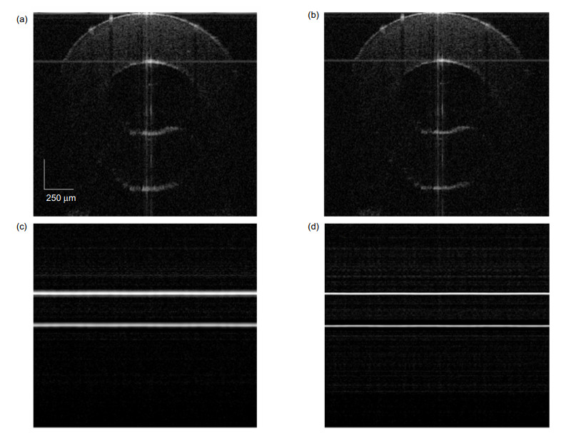 谱域光学相干层析系统的色散补偿技术研究