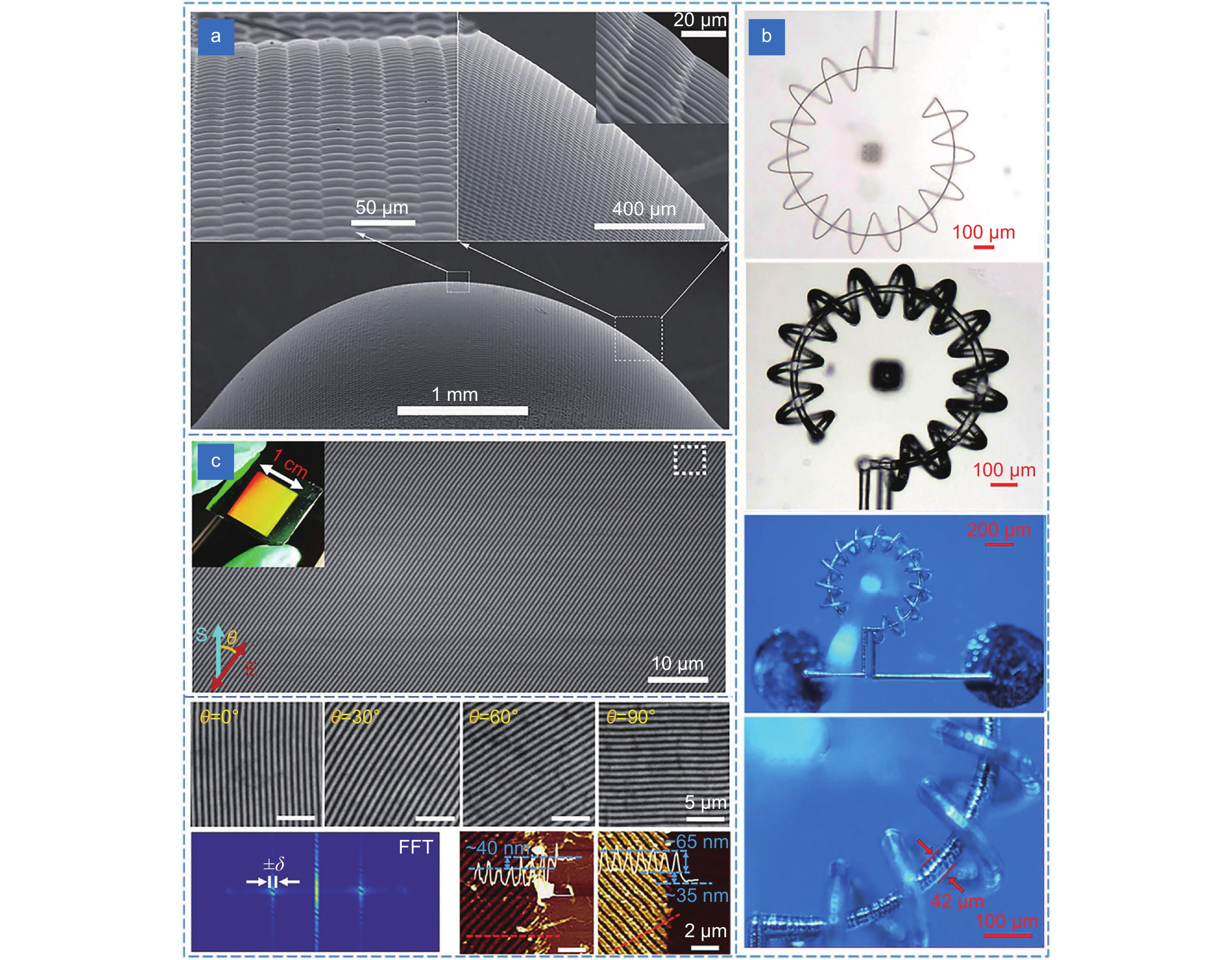 The preparation and applications of bio-inspired slippery