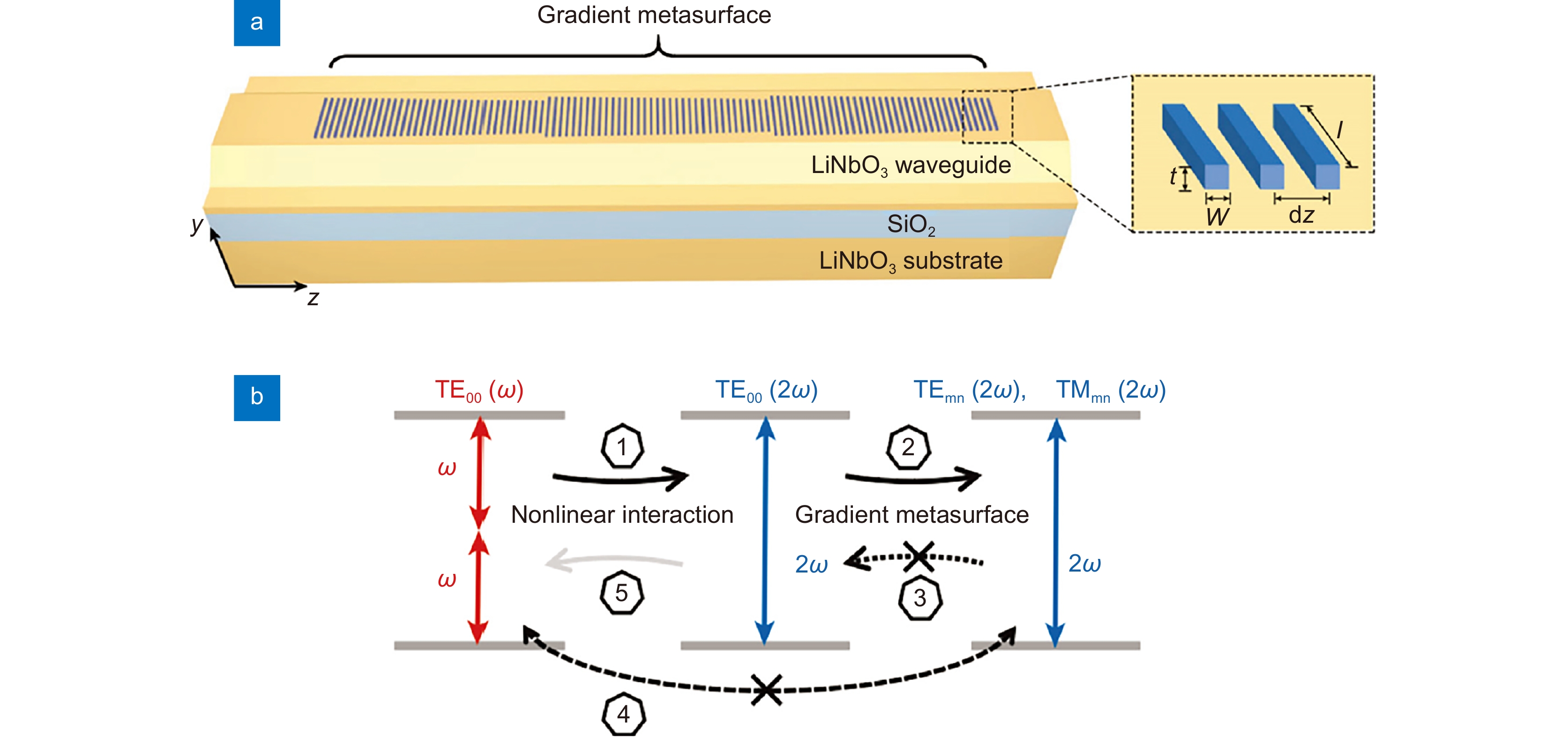 Lithium niobate metasurfaces: preparation and photonics