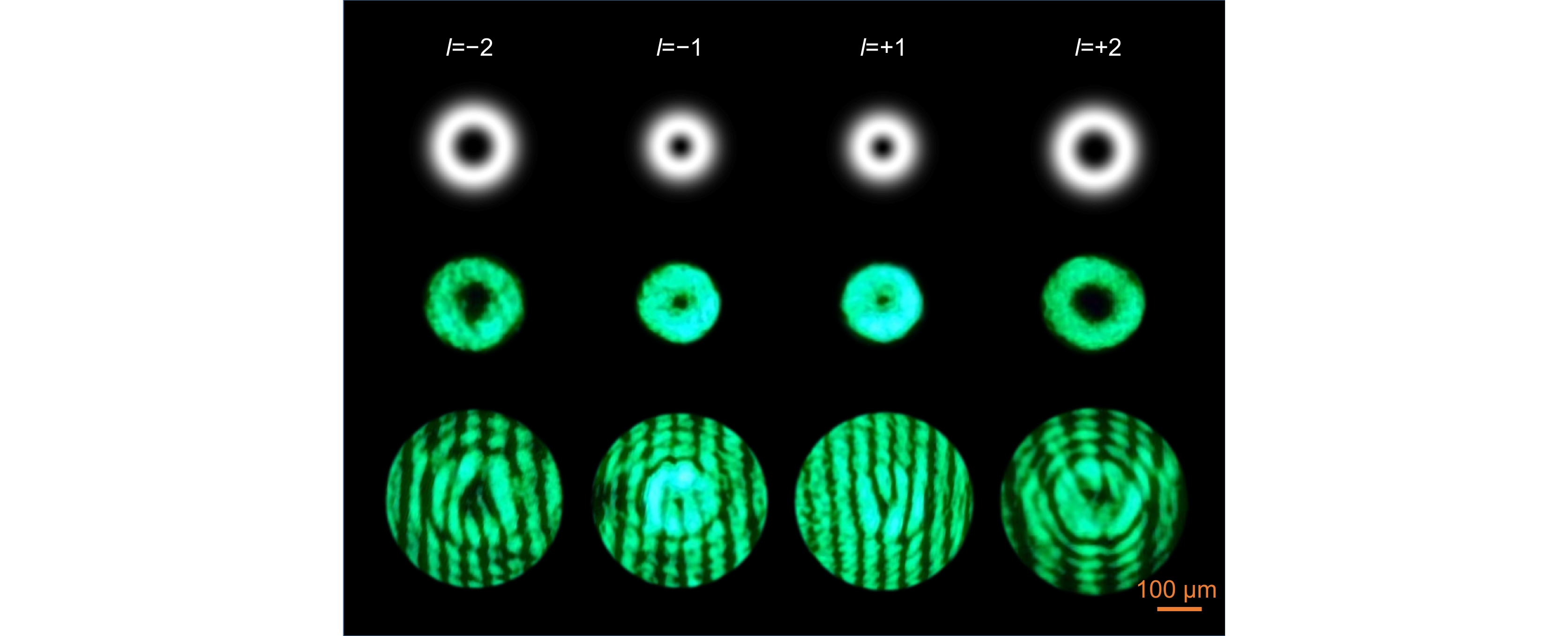 Light field regulation based on polarization holography
