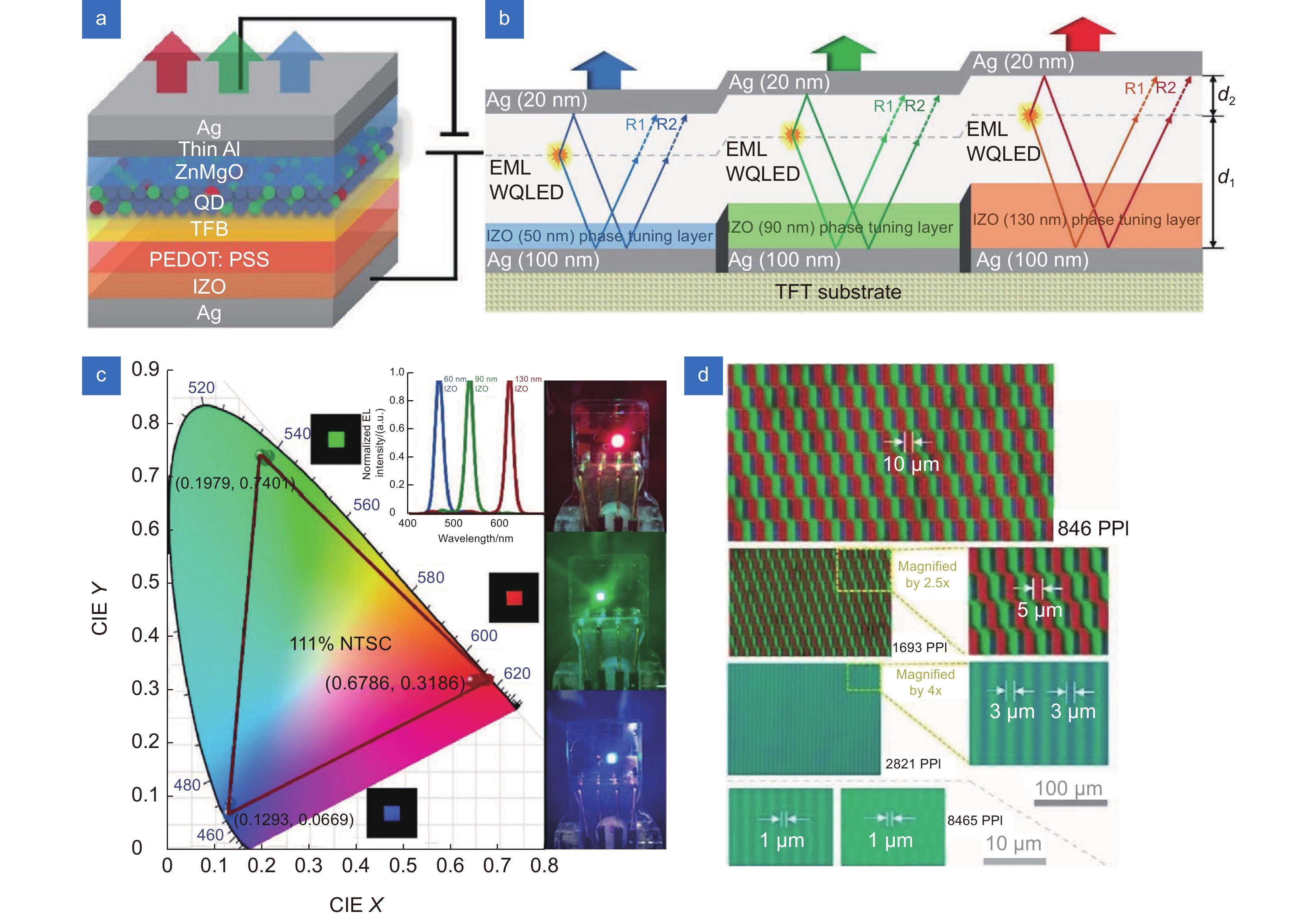 光学谐振腔方案实现全彩色Micro-QLED[66]。(a) 器件结构示意图；(b) 基于微腔的红绿蓝QLED工作原理示意图；(c)  红绿蓝三色QLED色坐标图；(d) 像素化的QLED阵列，方块型像素大小从10 µm到5 µm，条纹状像素宽度从3 µm到1 µm