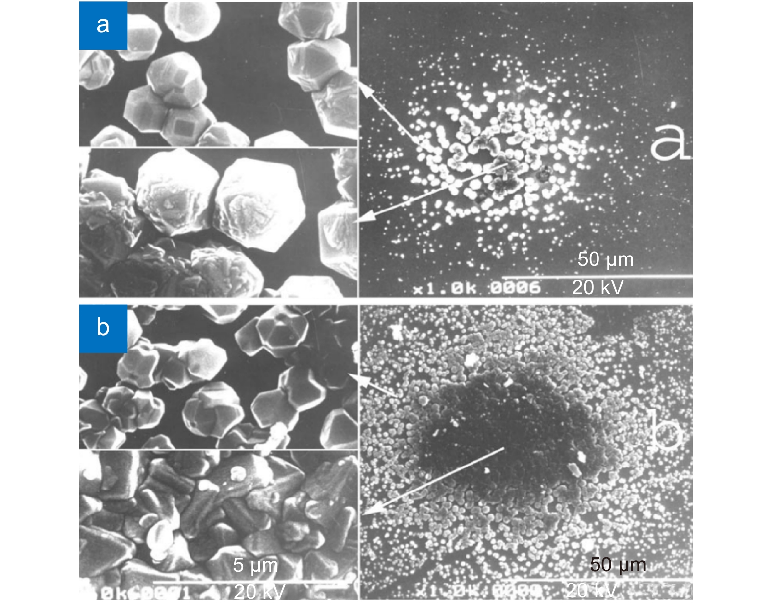 Research progress of laser-assisted chemical vapor deposition