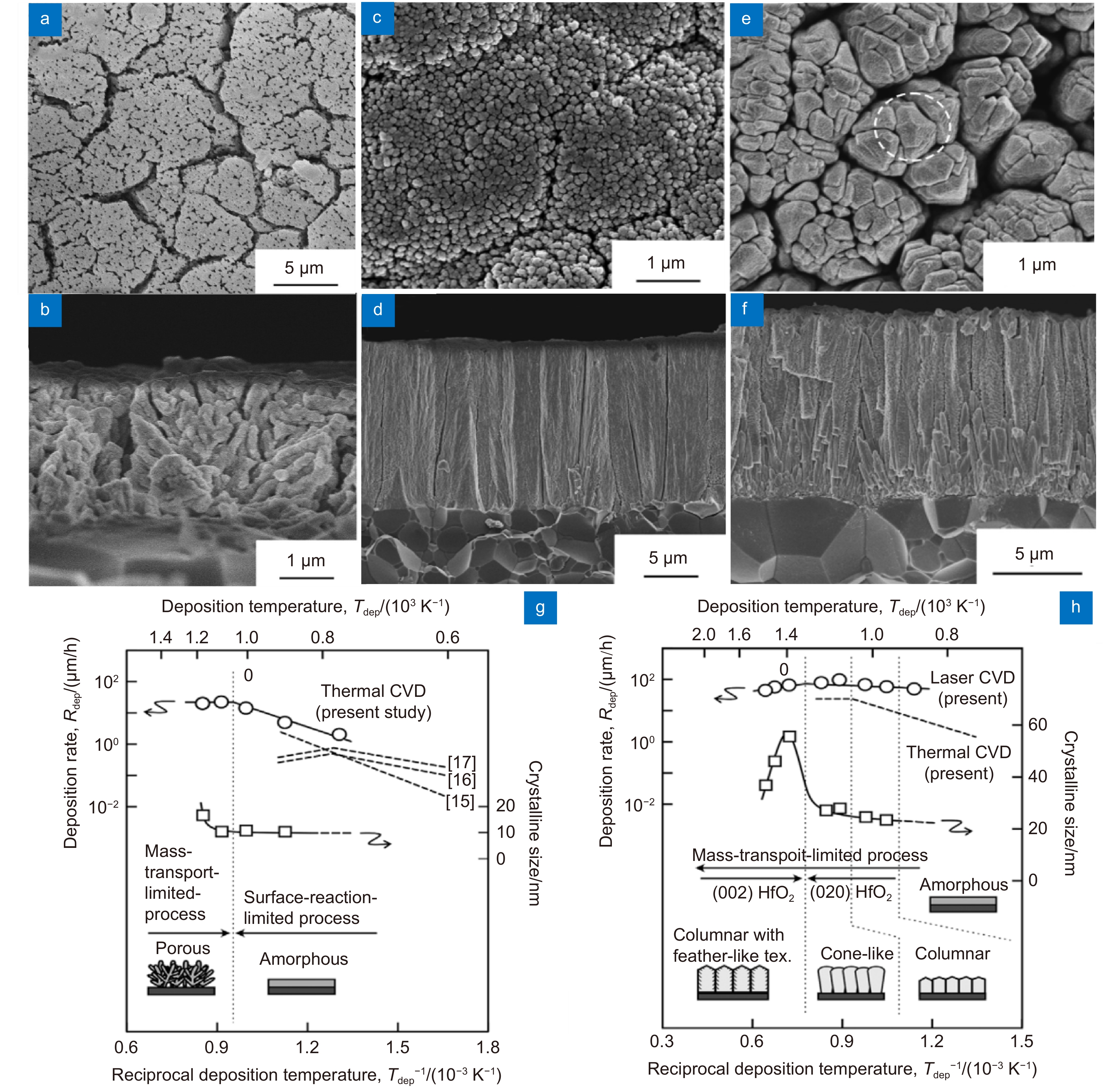 使用传统CVD于1173 K制备的HfO2薄膜(a)表面和(b)横截面扫描电镜图像，使用热解LCVD于1203 K和1383  K制备的HfO2薄膜(c), (e)表面和(d), (f)横截面扫描电镜图像，(c), (e) 沉积温度对(g)常规CVD和(h)热解CVD 制备的HfO2薄膜沉积速率、微晶尺寸、以及形态演化的影响[71]