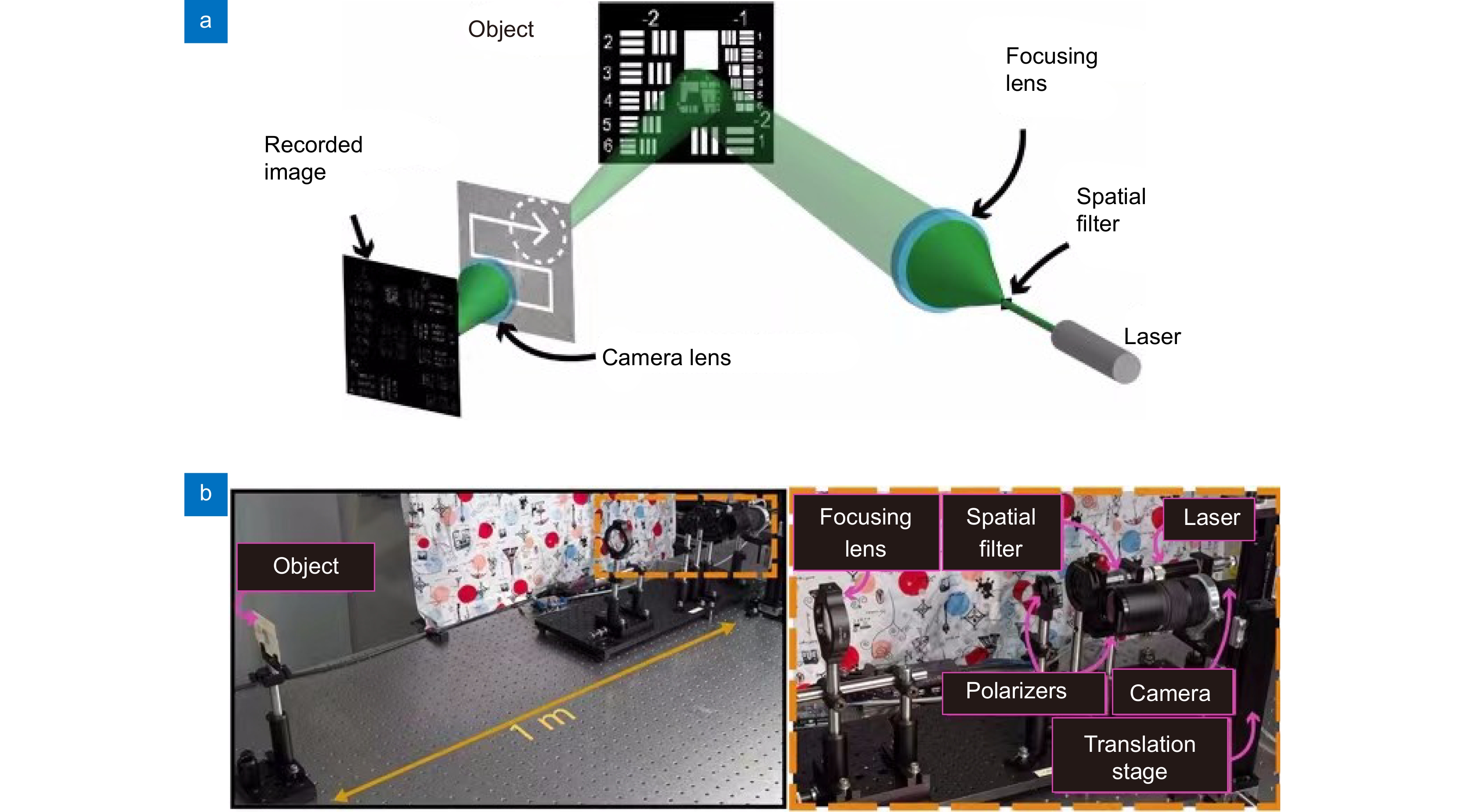 確認用 Optical microfiber resonator: principle and applications