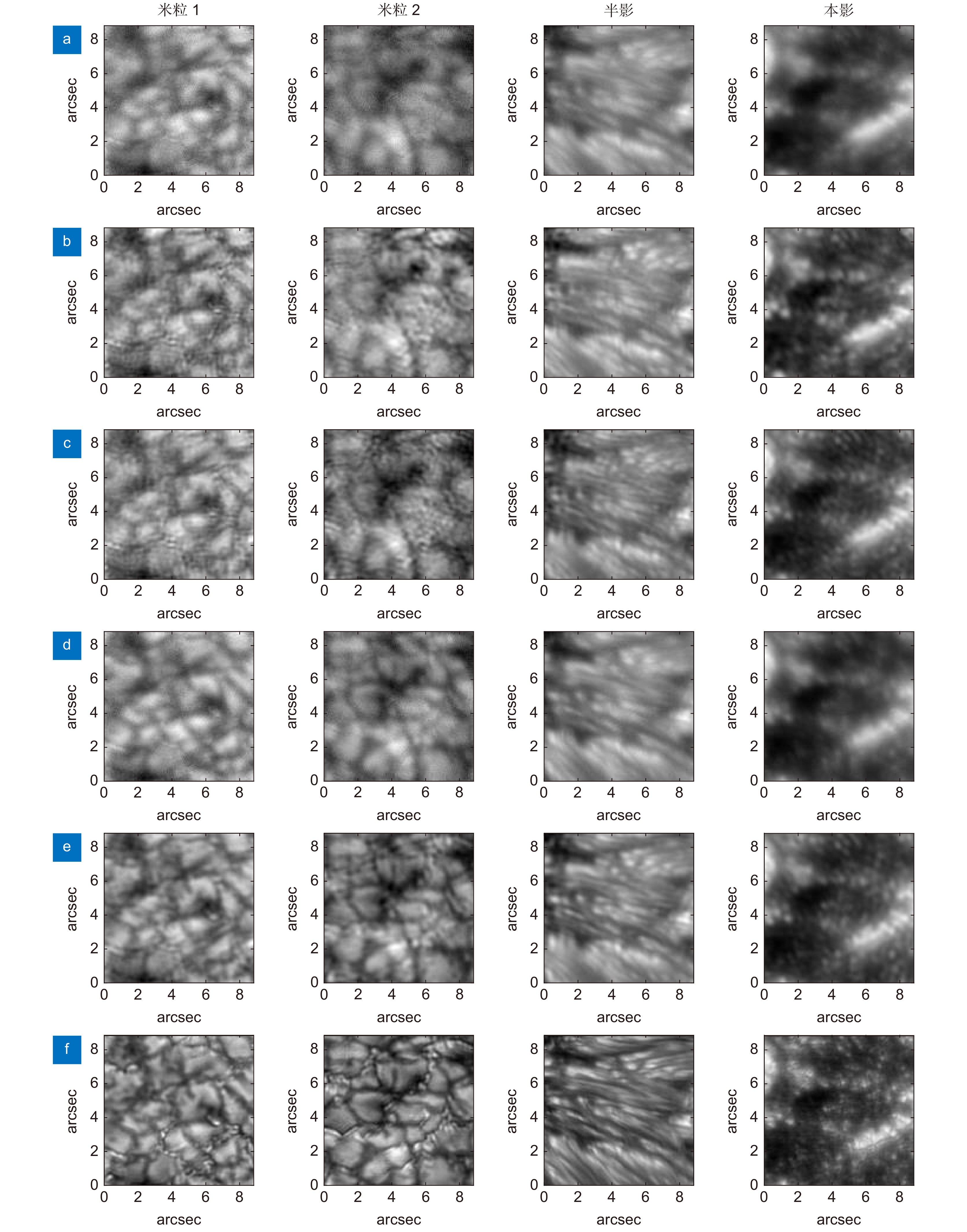 Reconstruction results of the wide field-of-view image. (a