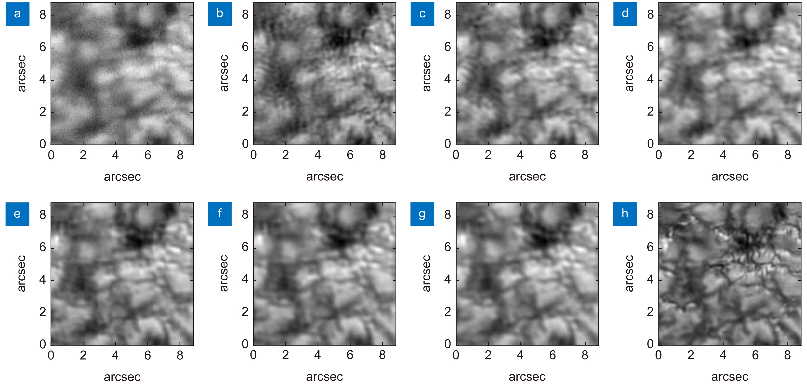 Reconstruction results of the wide field-of-view image. (a