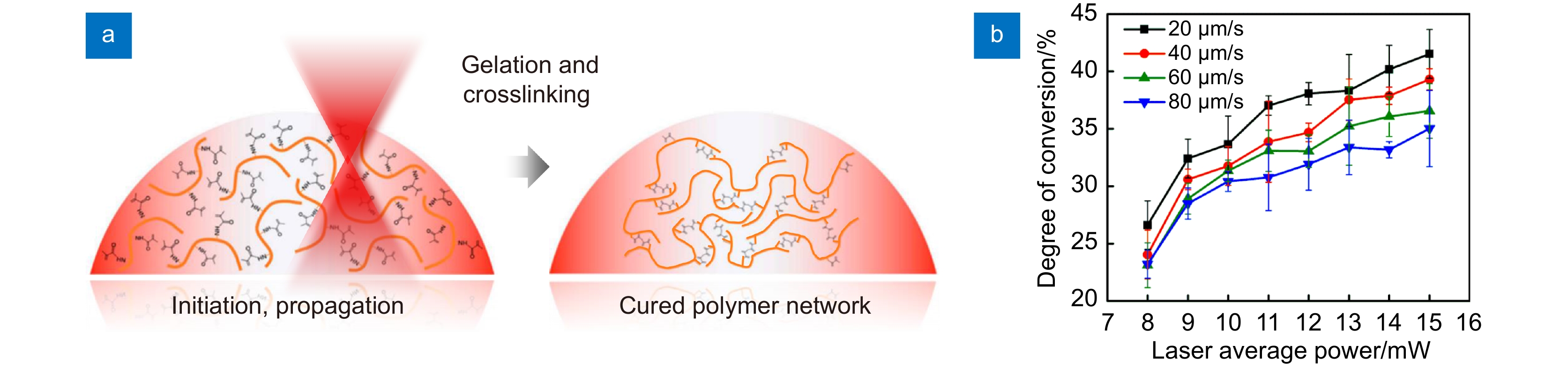 Femtosecond laser two-photon polymerization three-dimensional