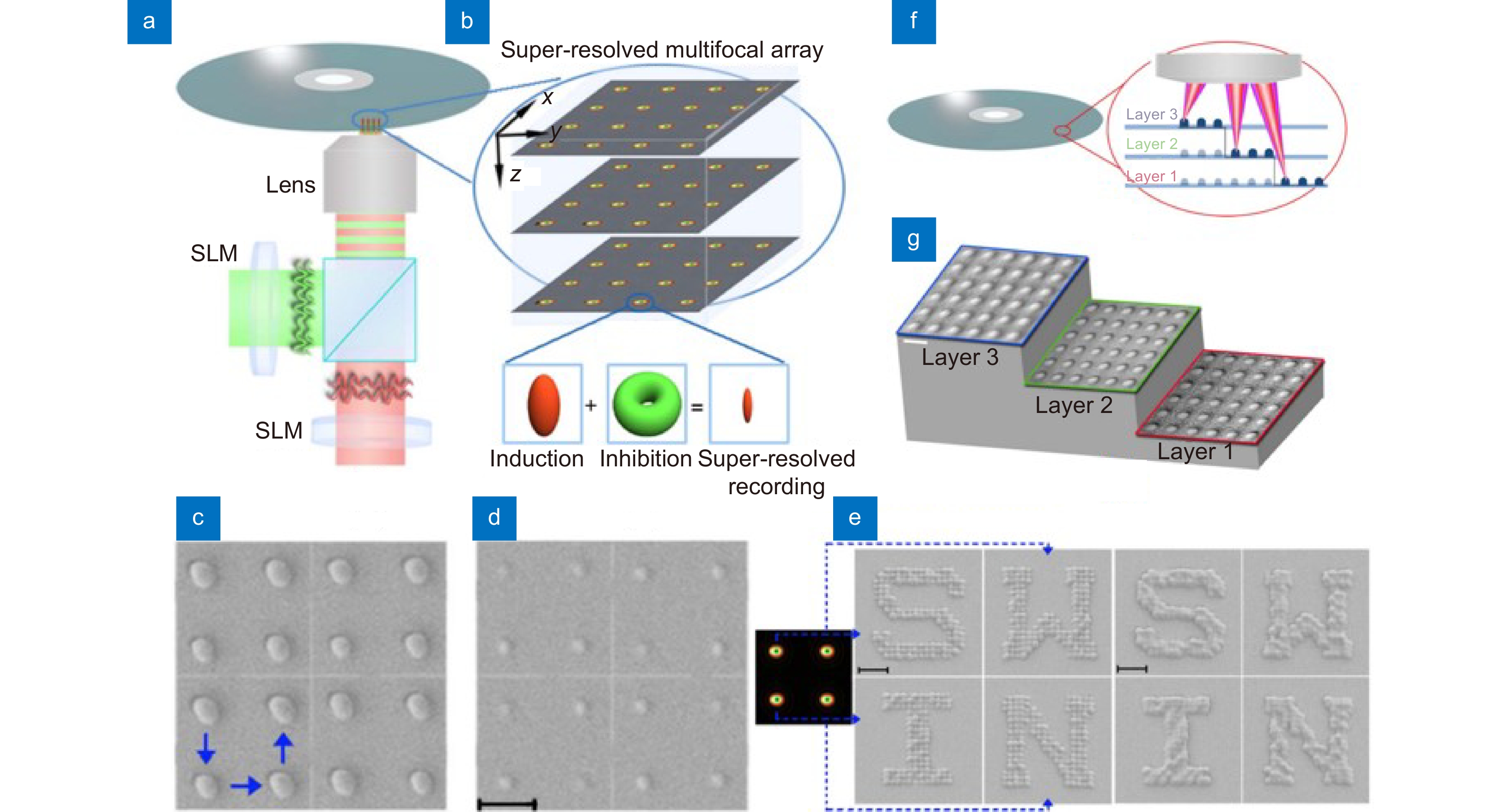 a) 基于两同步SLM的相位调制方案；(b) 通过复制2×2并行PPI焦斑形成三维PPI焦点阵列示意图；(c)  无抑制光飞秒激光焦点刻写的点阵结构，蓝色箭头指示刻写路径；(d) 叠加抑制光后PPI焦斑刻写的点阵结构，抑制光功率为210 mW。比例尺为500  nm； (e) 通过PPI焦点阵列(左)和激发 ...