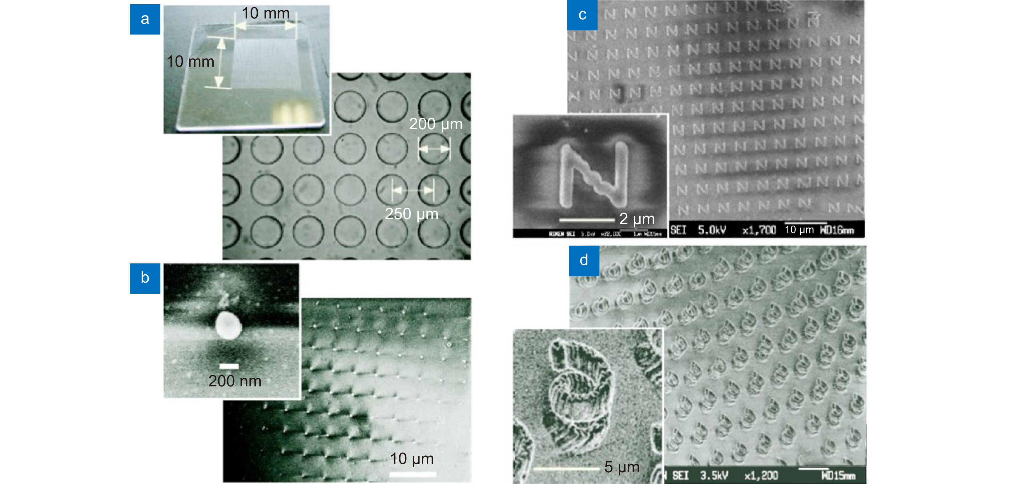 a) 所采用MLA外观及其光学显微图像；(b) 在玻璃基板上产生的光聚合树脂体素扫描电子显微镜SEM图像；(c) 采用28个曝光点制作的227个二维“N”字母阵列；(d)  三维加工微弹簧阵列[65]