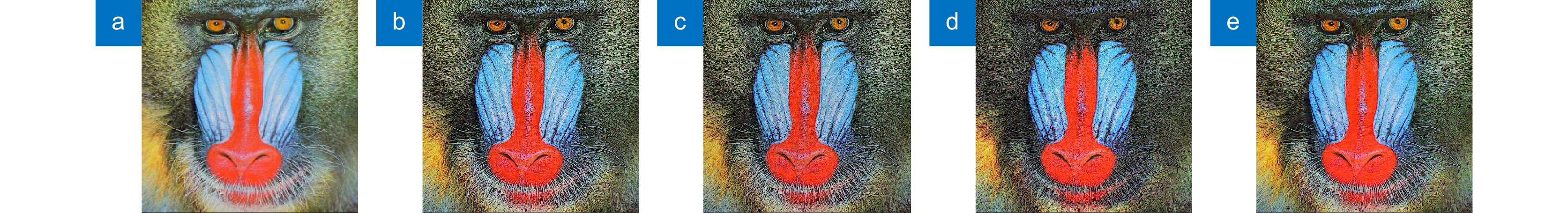 a) Baboon原图; (b) Floyd-Steinberg算法效果图; (c) Knox算法效果图; (d) Kwak算法效果图; (e) 本文 算法效果图