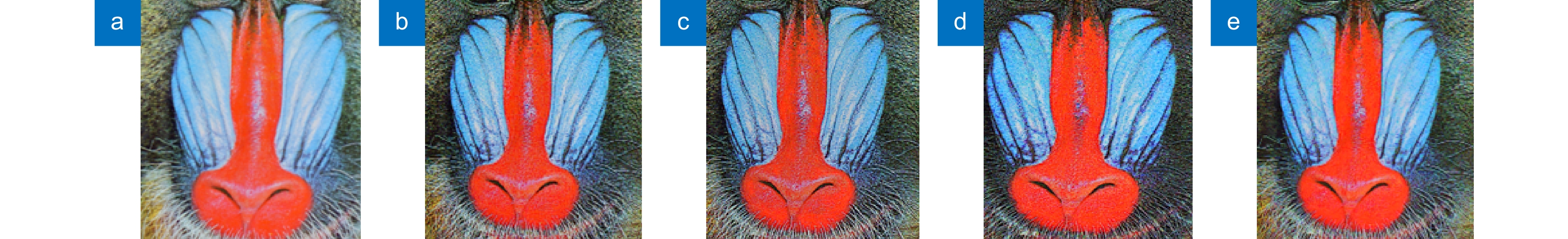 a) Baboon原图; (b) Floyd-Steinberg算法效果图; (c) Knox算法效果图; (d) Kwak算法效果图; (e) 本文 算法效果图