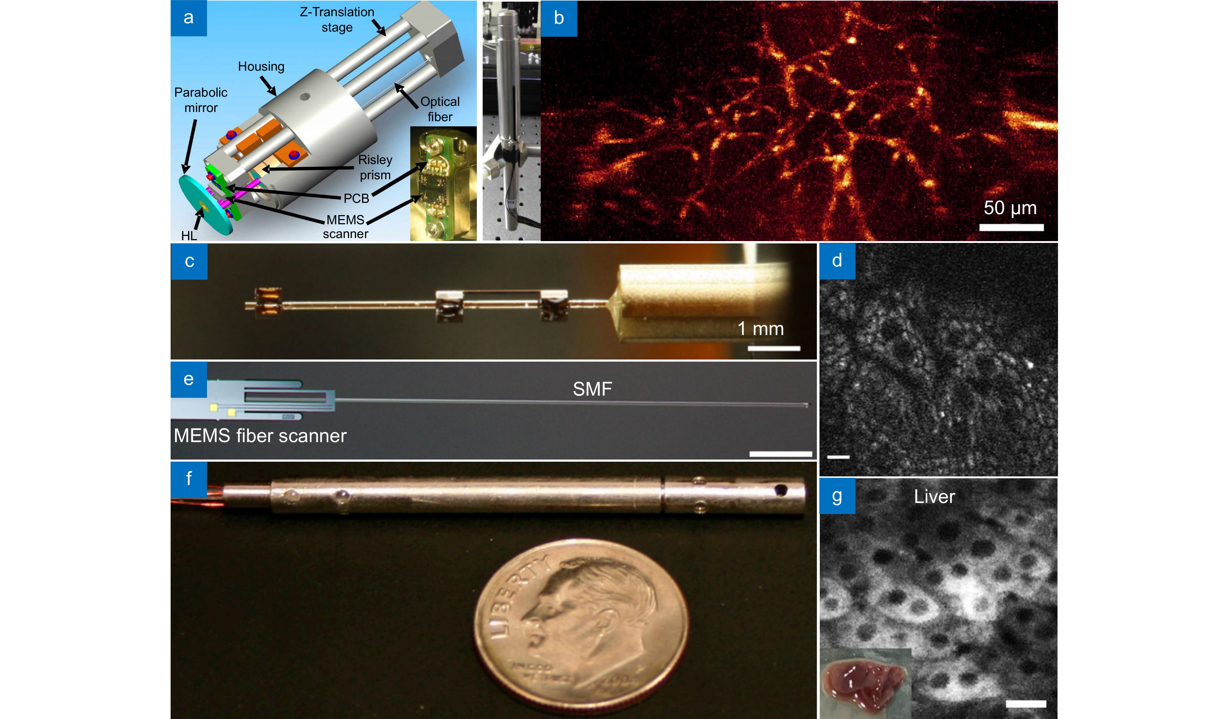 Miniaturized biomedical optical imaging systems