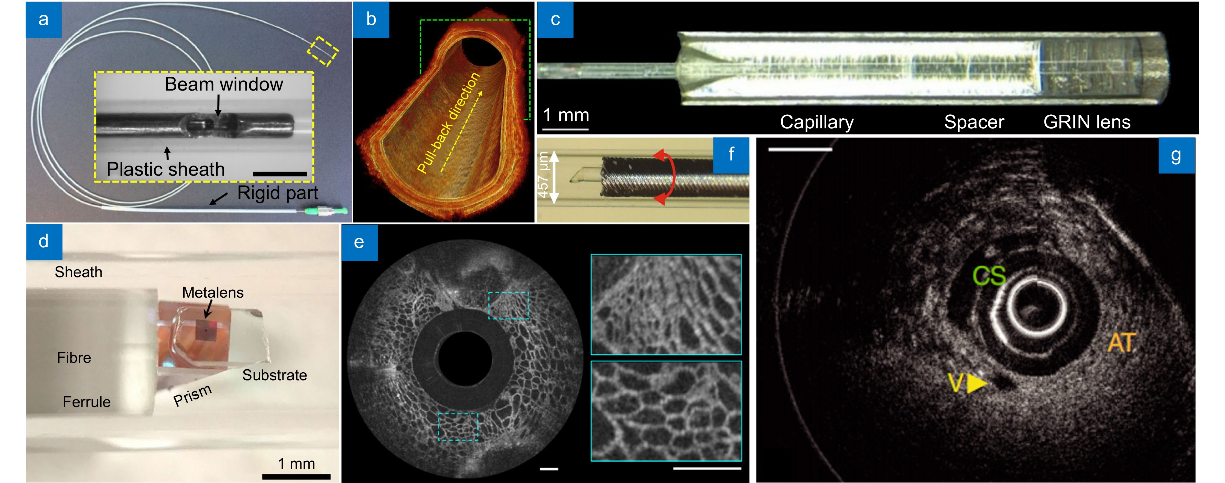Miniaturized biomedical optical imaging systems