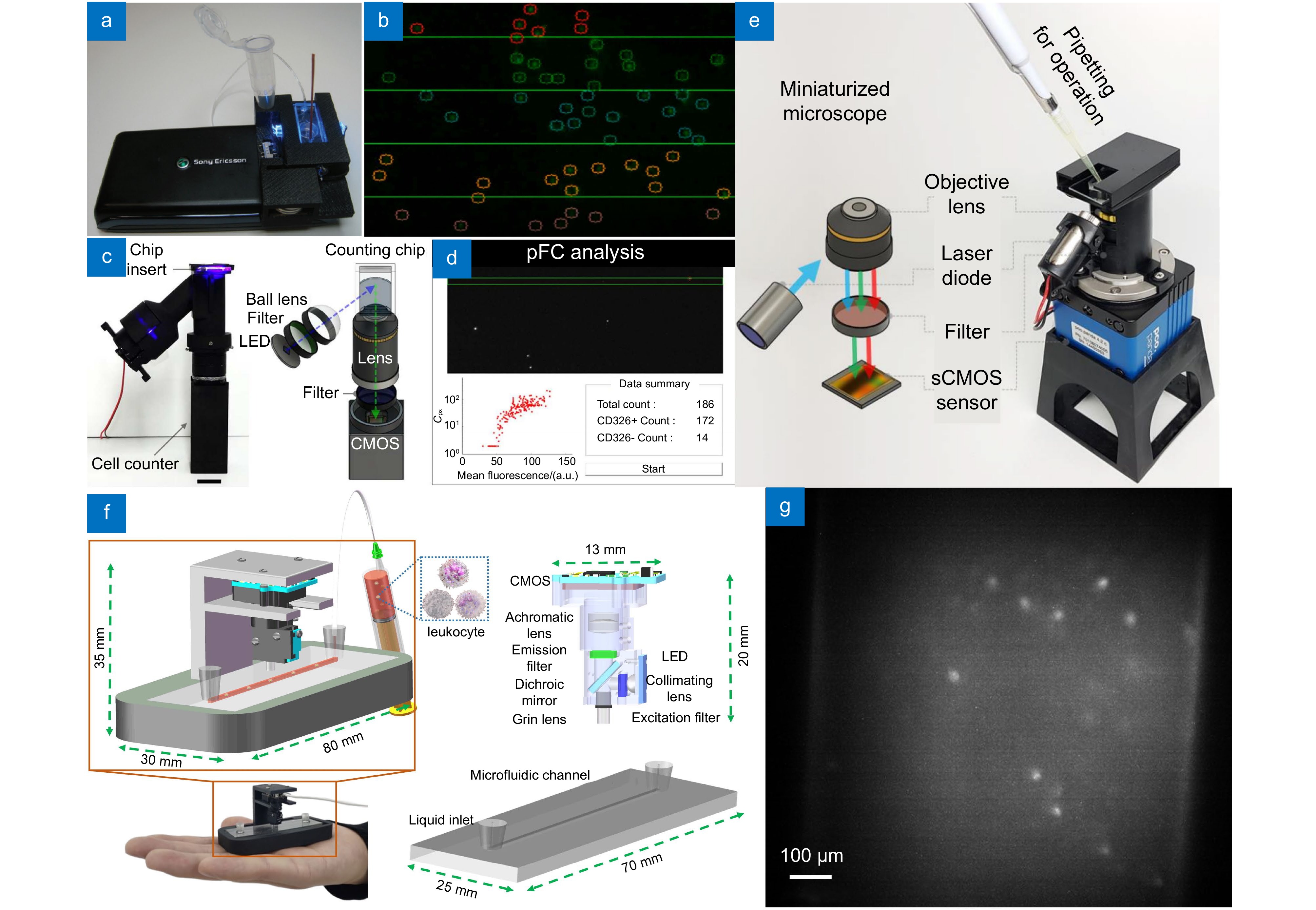 Miniaturized biomedical optical imaging systems