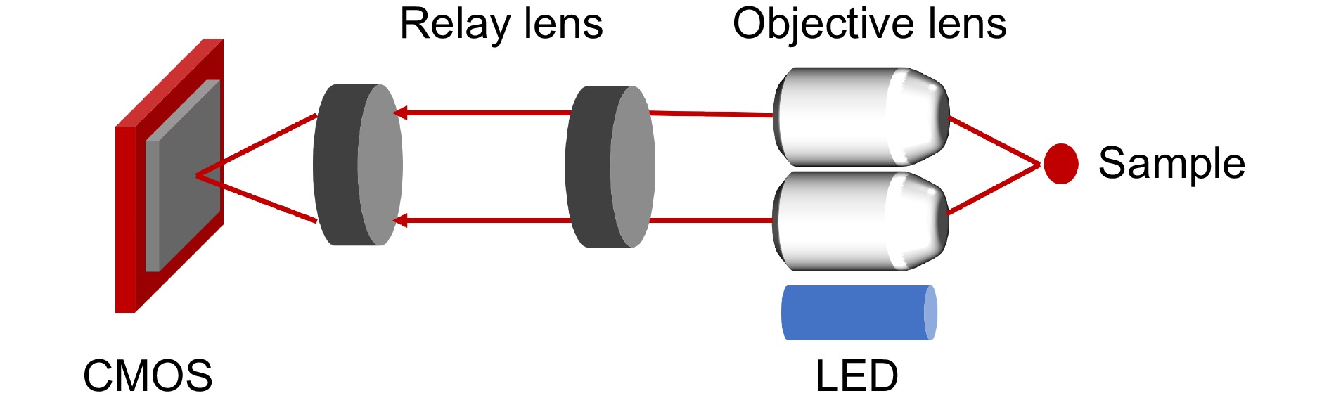 Miniaturized biomedical optical imaging systems