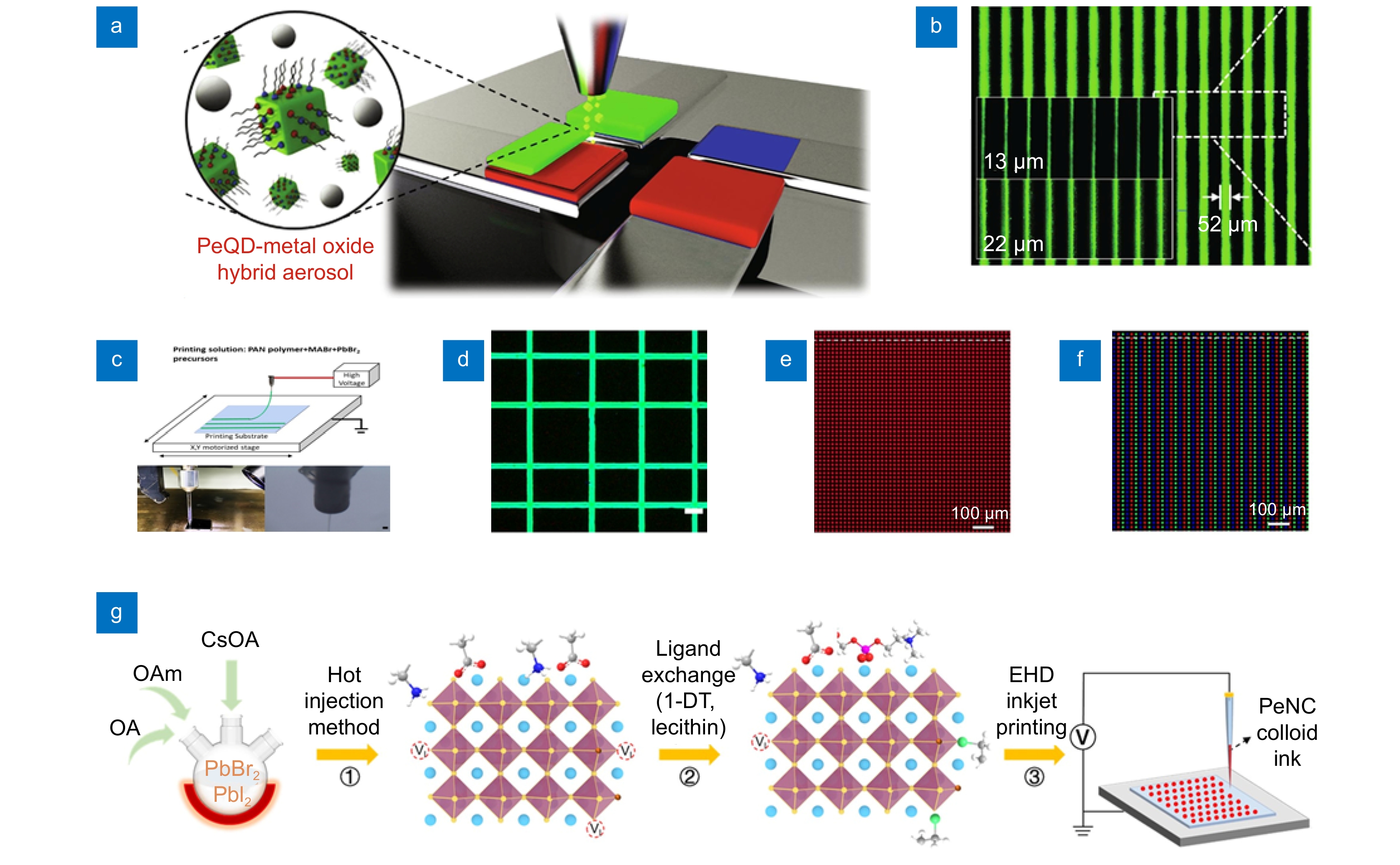 Perovskite quantum dot color conversion Micro-LEDs: progress