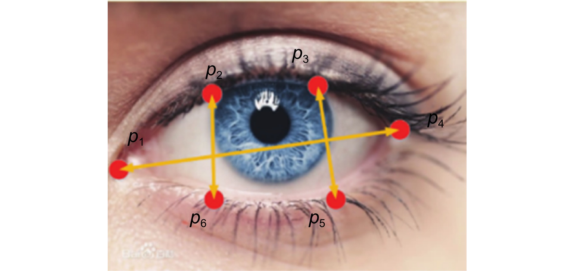 yu URBANlite Trapez (20