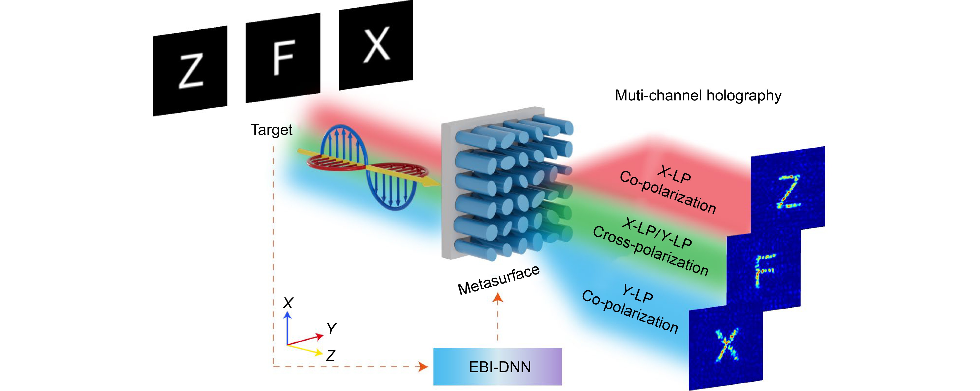 Multi-channel metasurface design and optimization driven by EBI-DNN