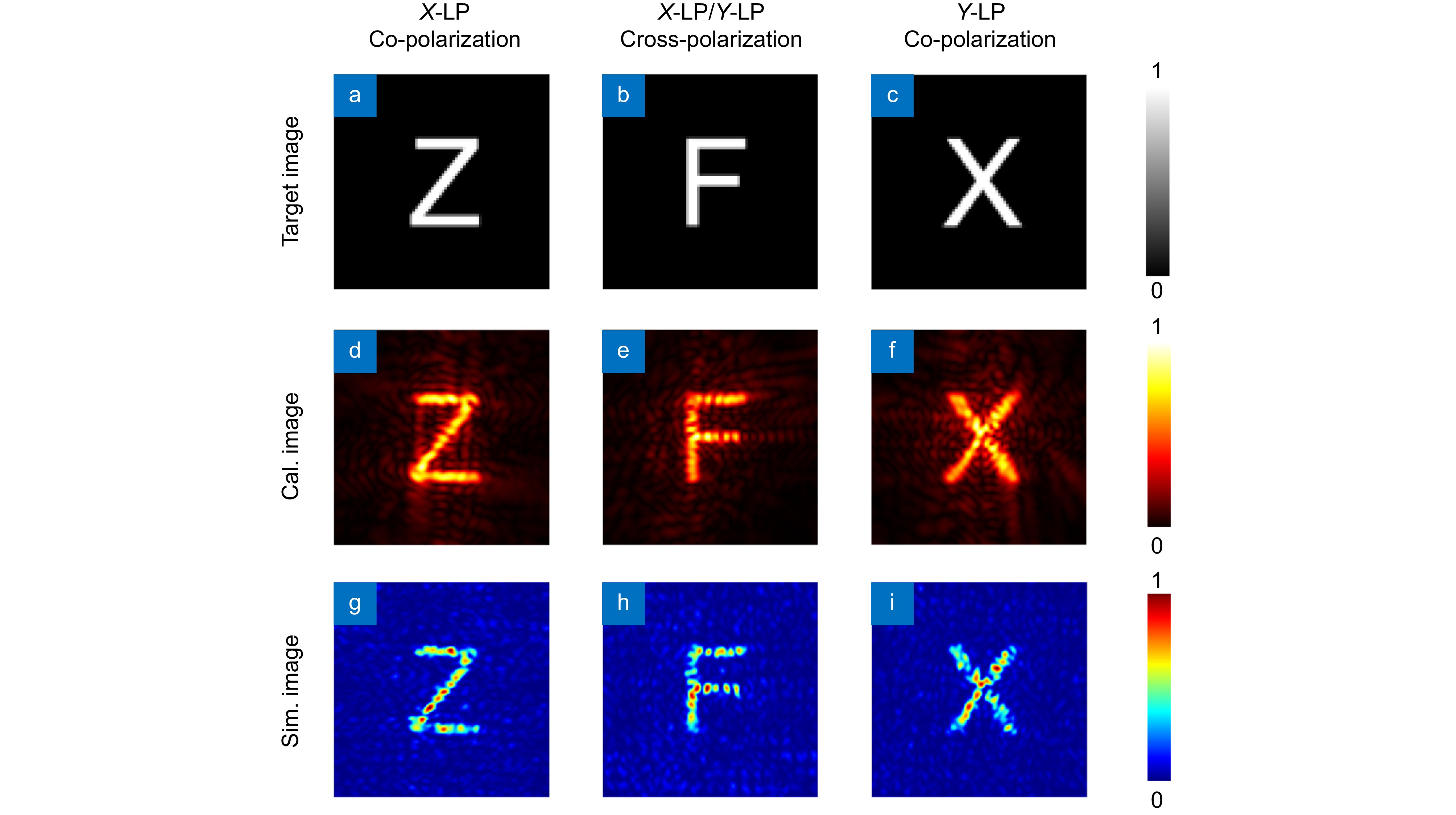 Multi-channel metasurface design and optimization driven by EBI-DNN