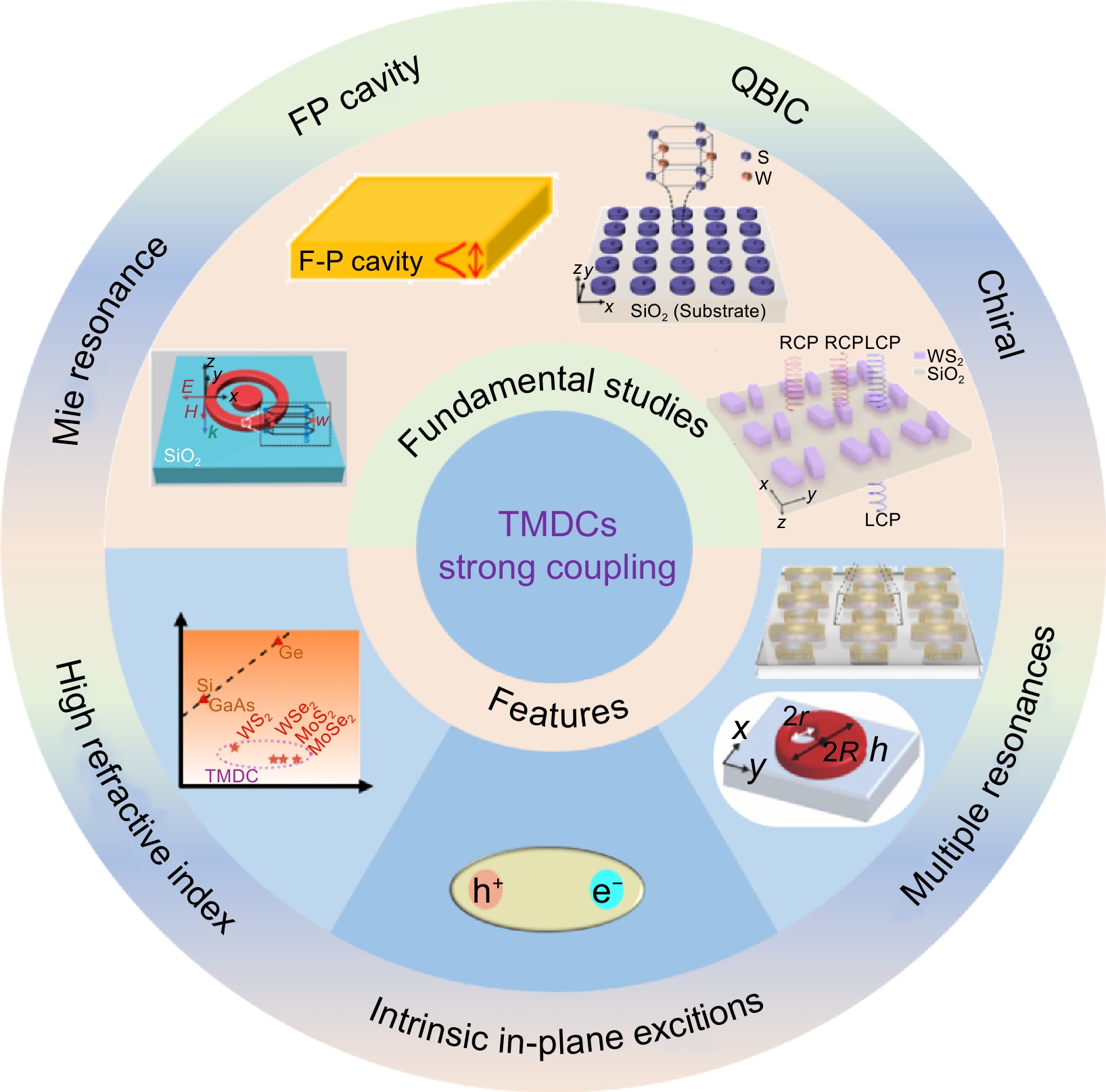 Advances in strong light-matter coupling in bulk/multilayer transition  metal dichalcogenides