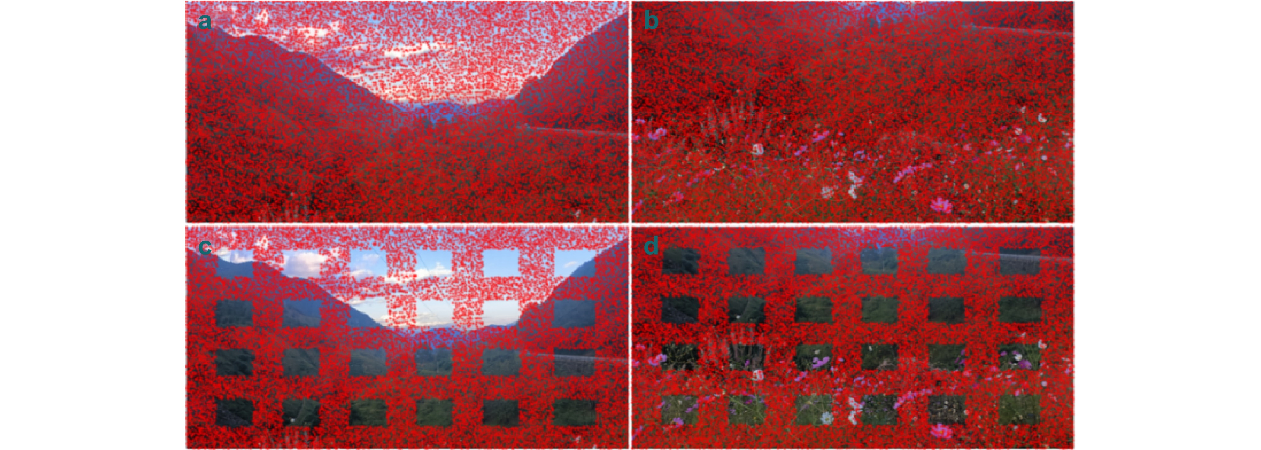Research on large field of view stitching imaging technology based