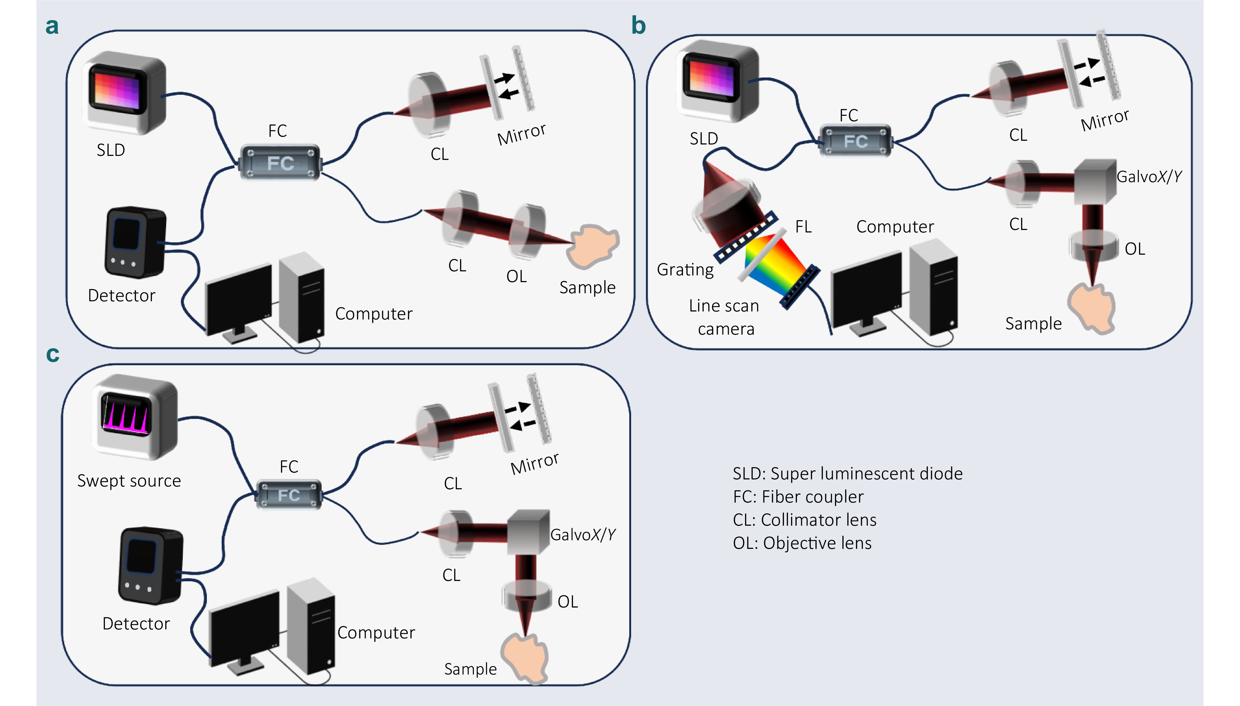 Advances in optical coherence tomography for intelligent diagnosis