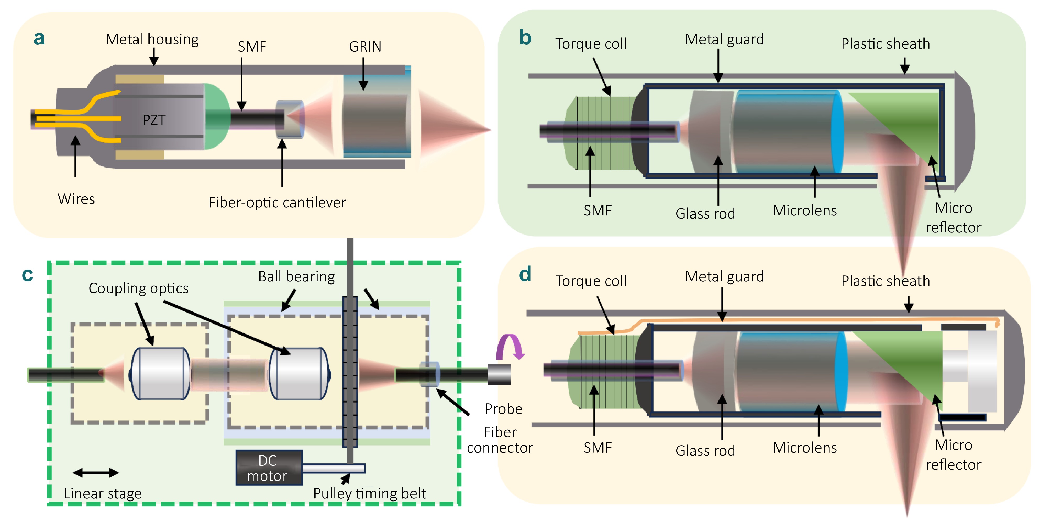 Advances in optical coherence tomography for intelligent diagnosis