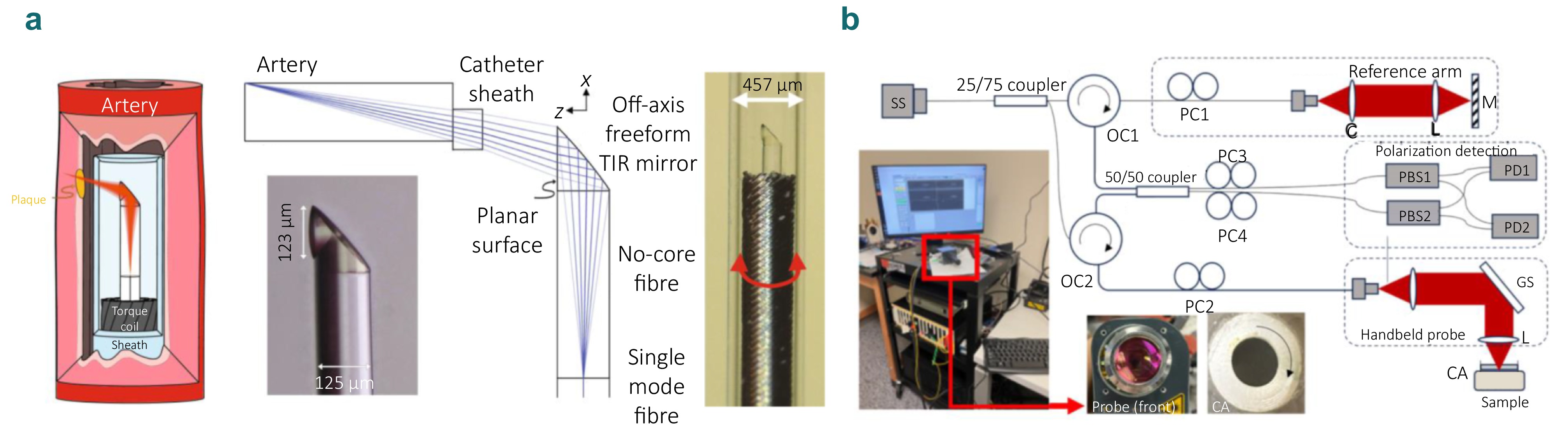 Advances in optical coherence tomography for intelligent diagnosis