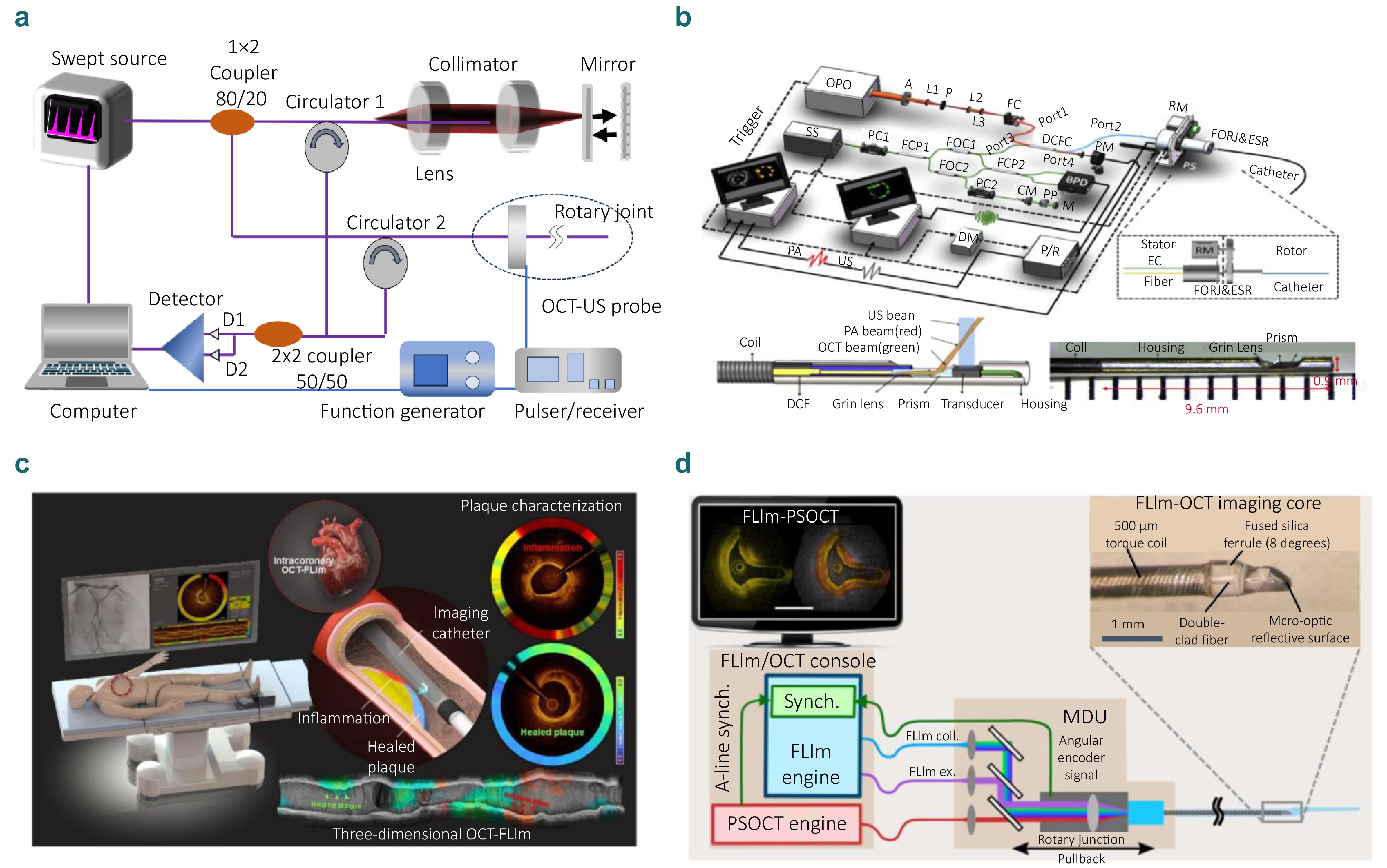 Advances in optical coherence tomography for intelligent diagnosis