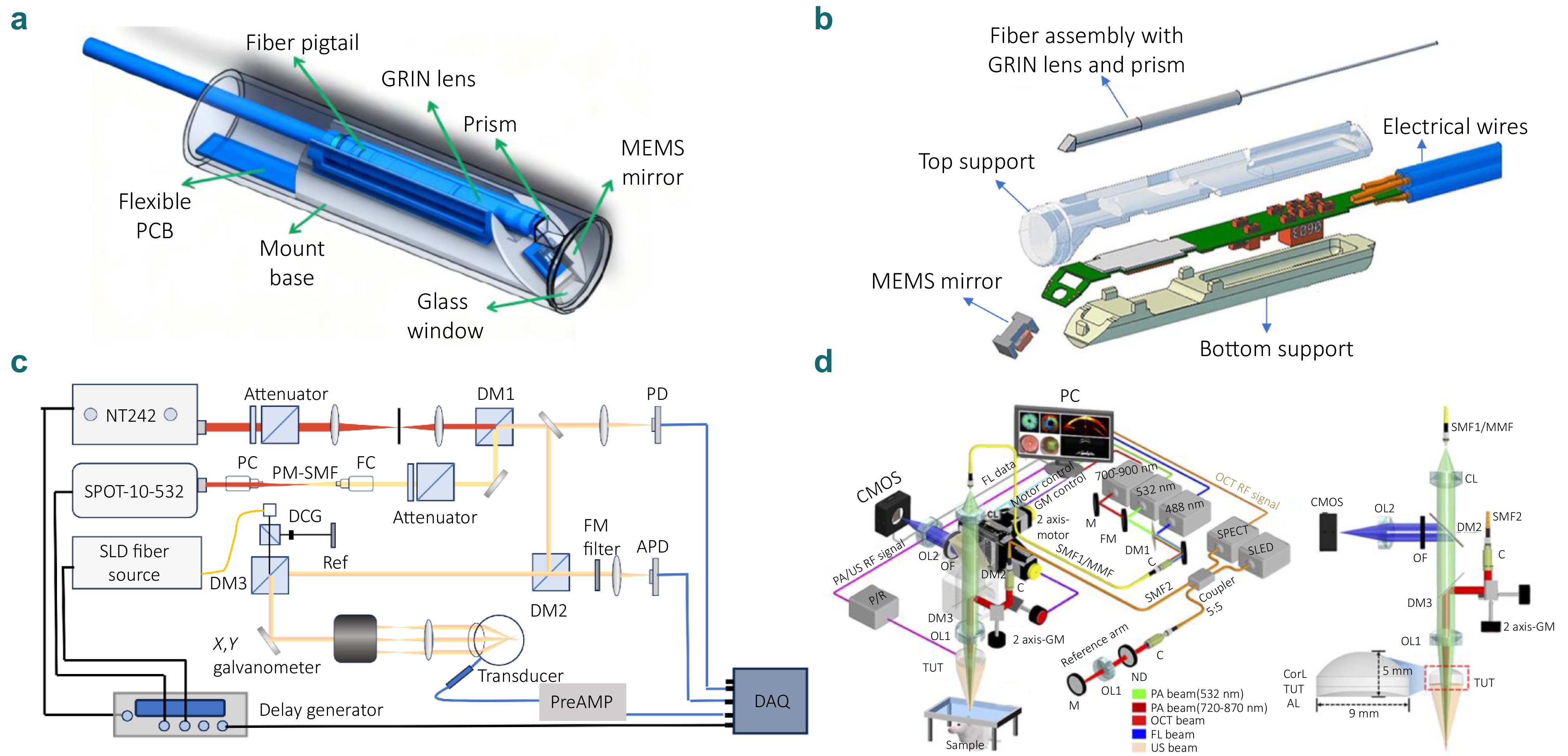 Advances in optical coherence tomography for intelligent diagnosis