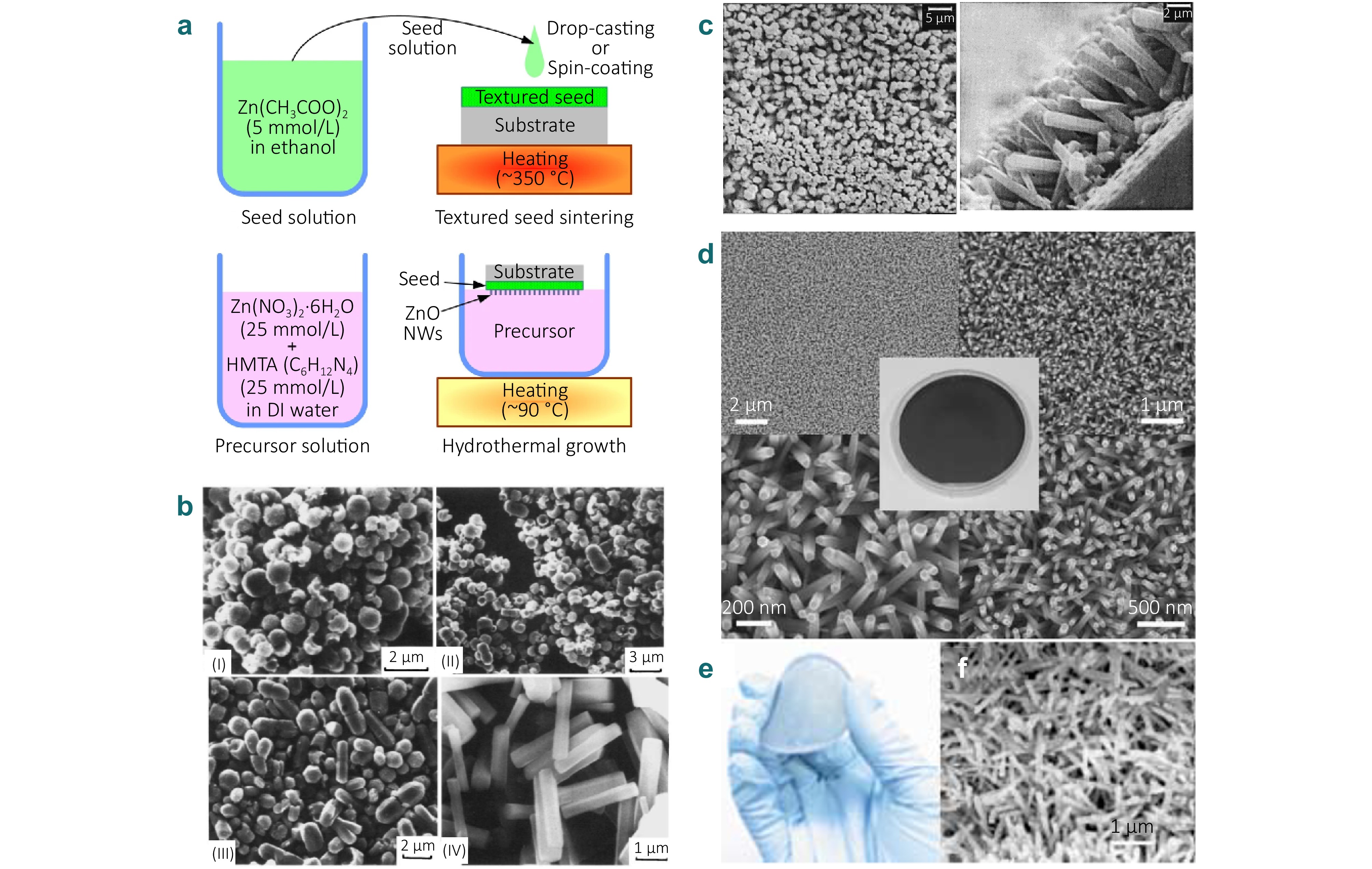 Research progress of micro-nano photonic properties and