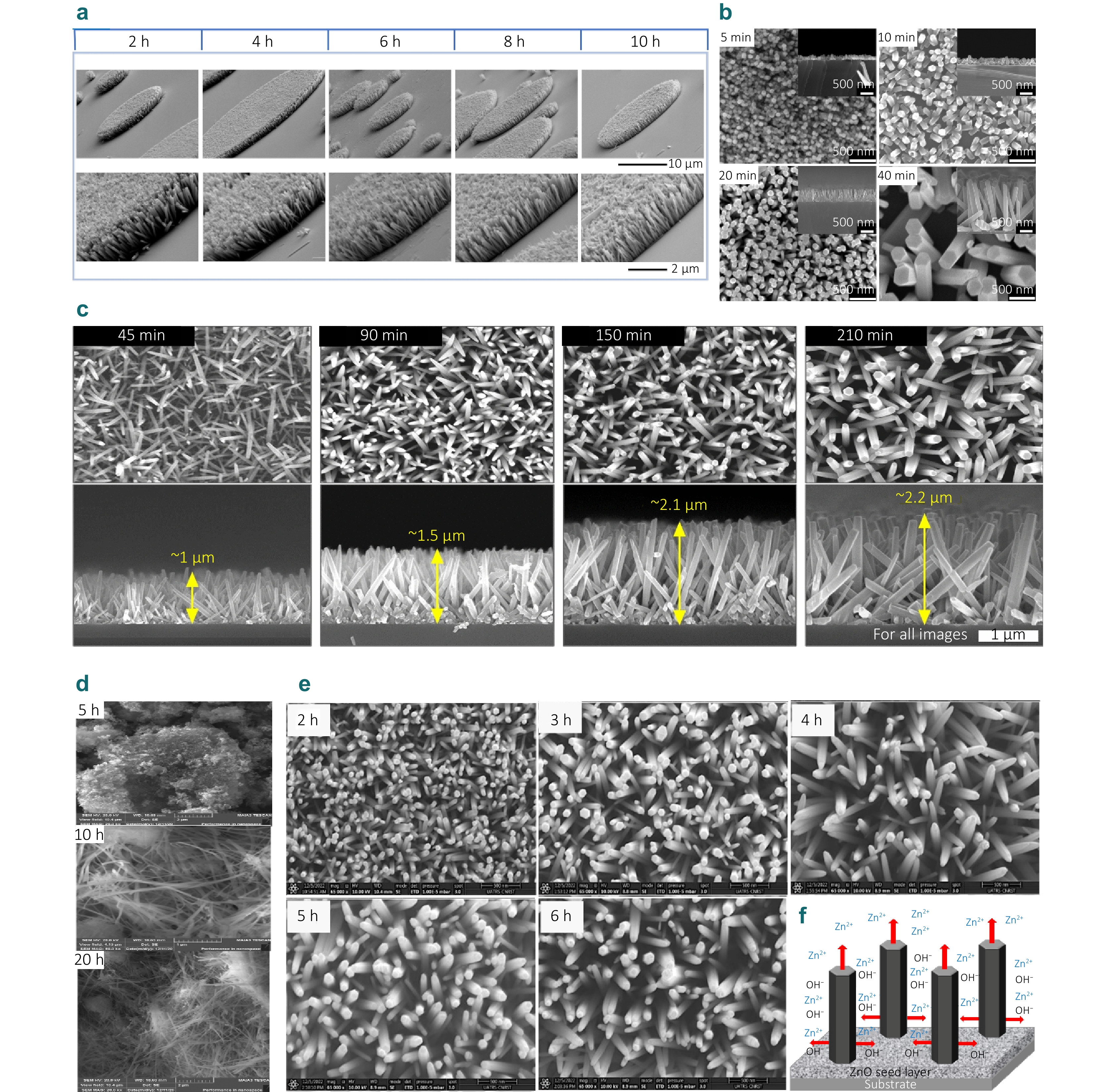 Research progress of micro-nano photonic properties and