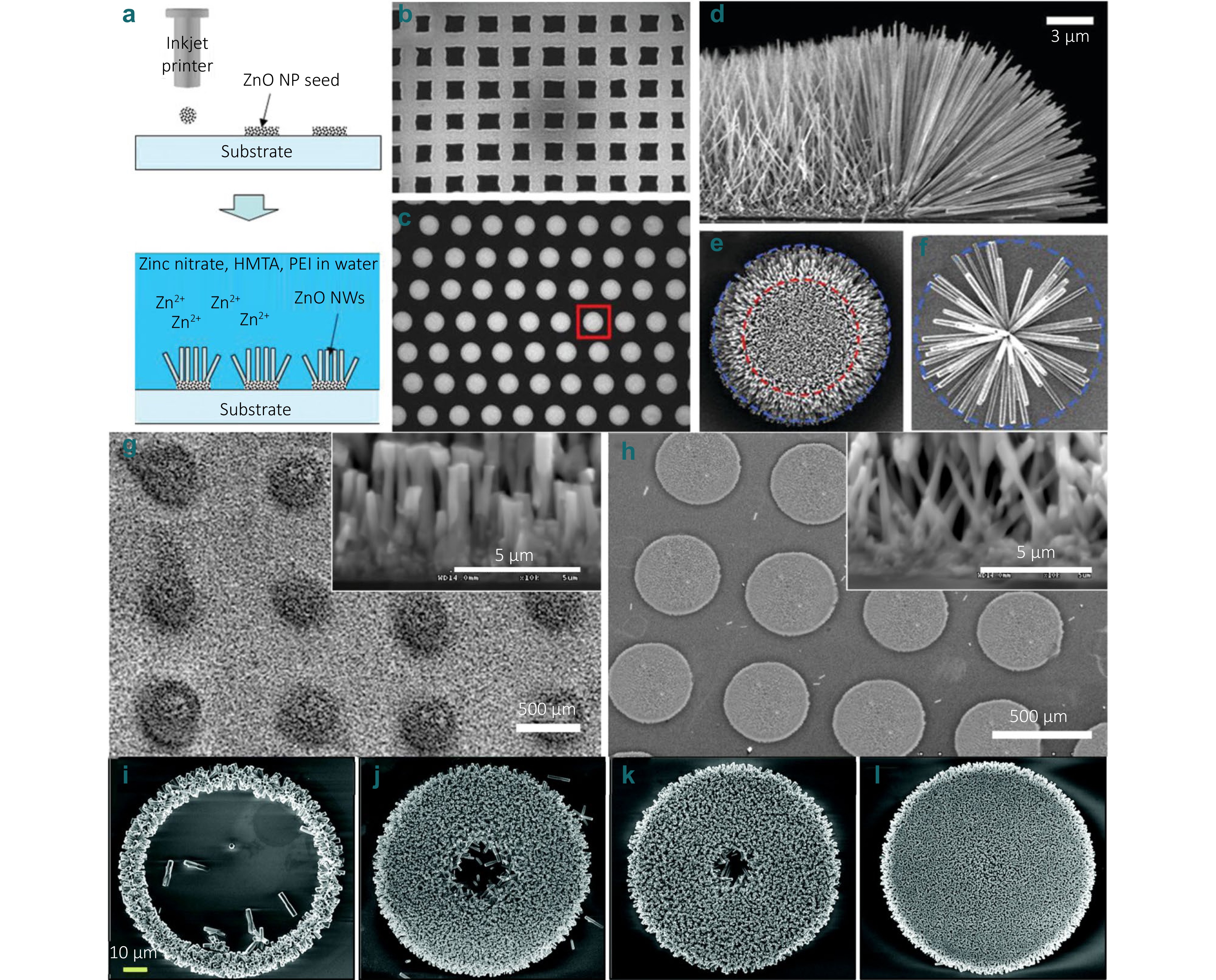 Research progress of micro-nano photonic properties and