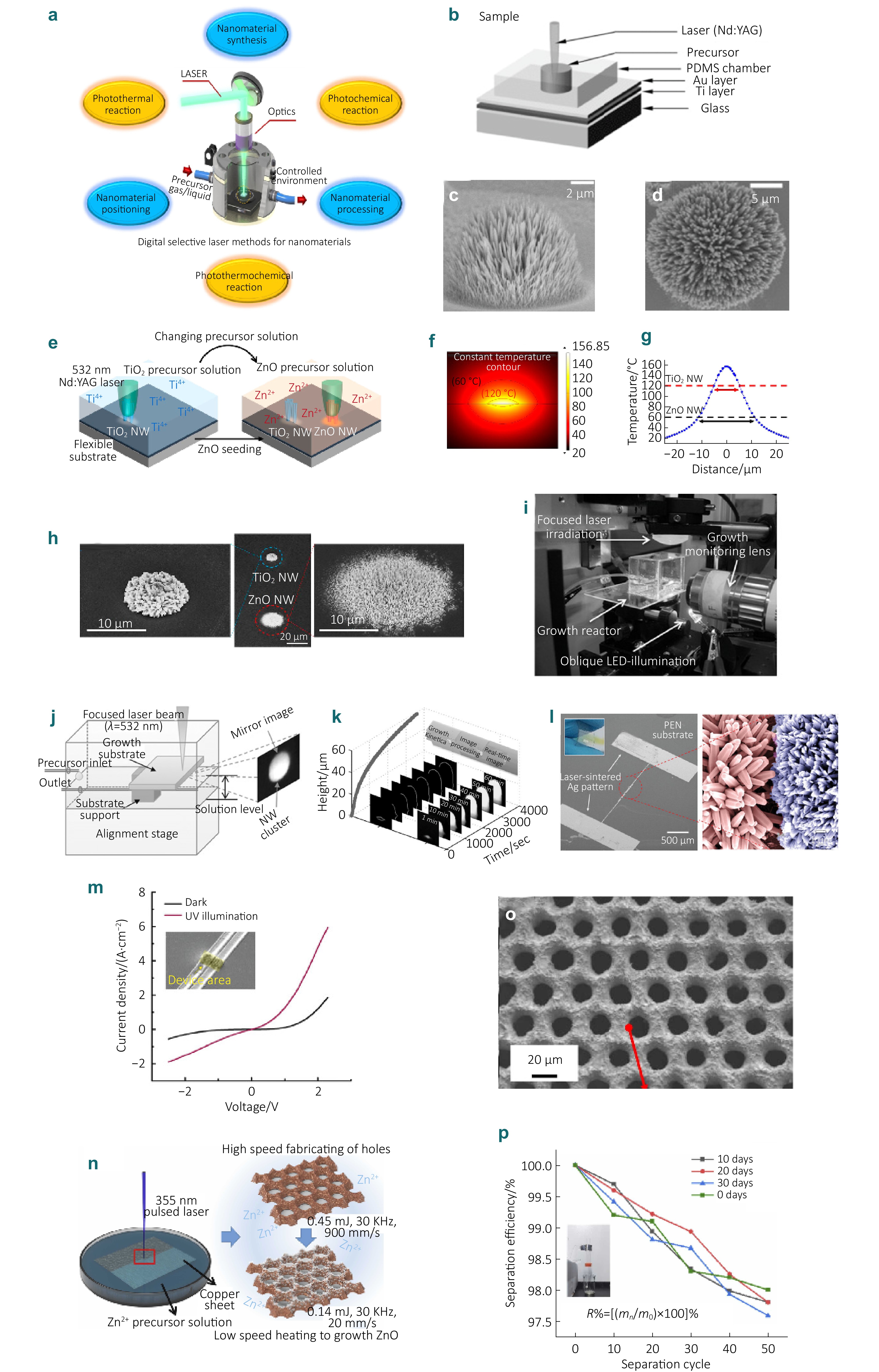 Research progress of micro-nano photonic properties and