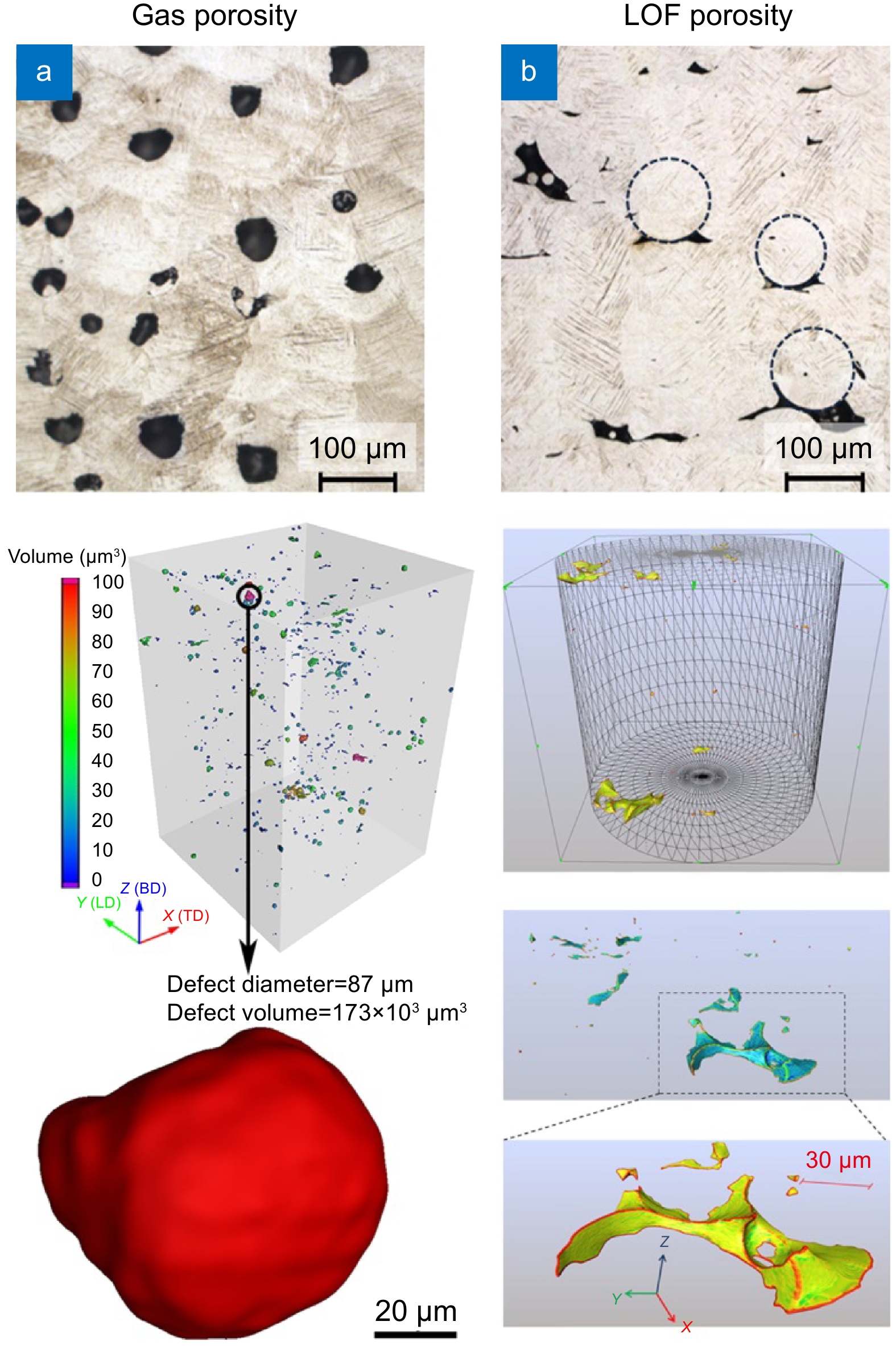 A review and a statistical analysis of porosity in metals