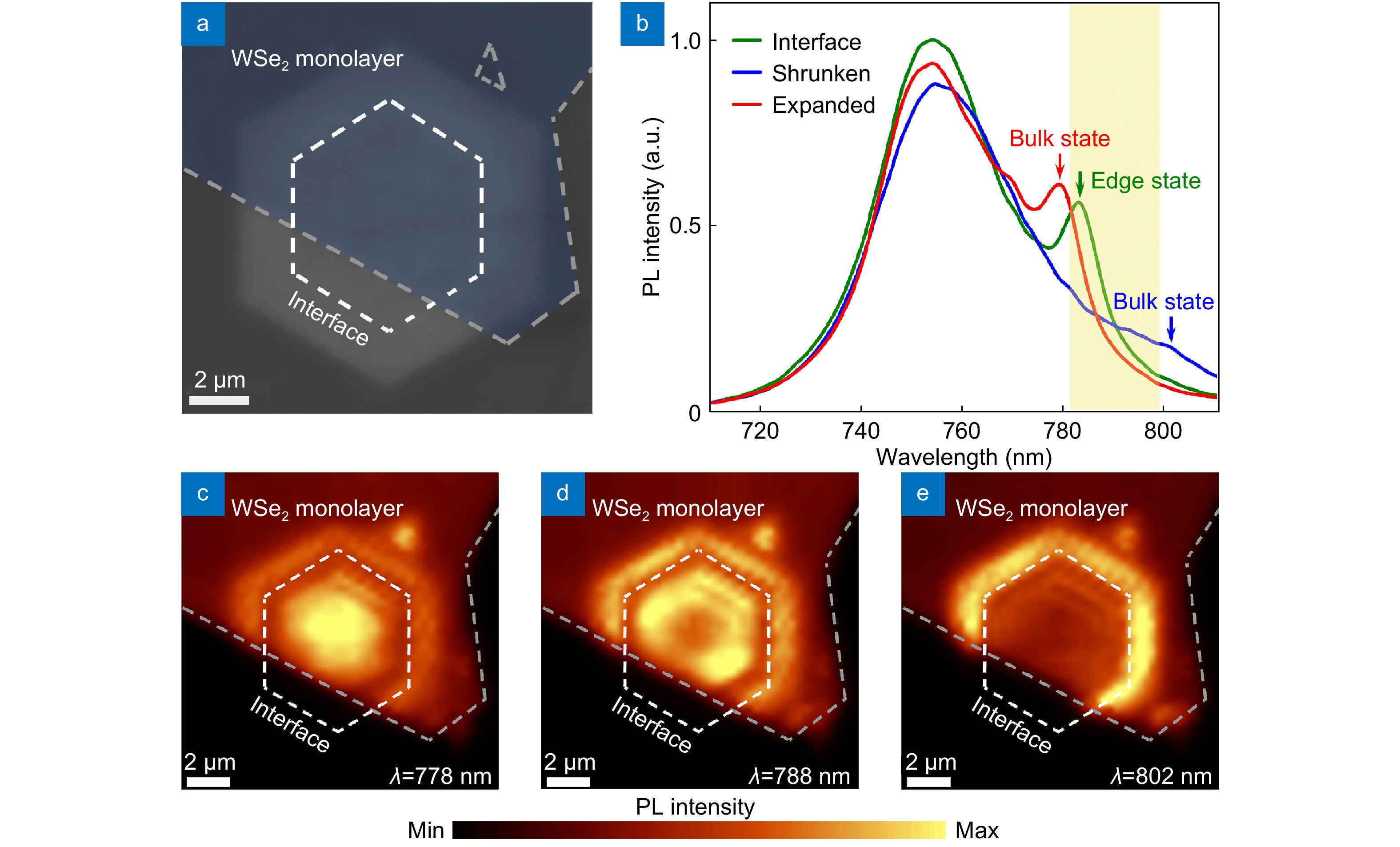 サイト Inducing exceptional points, enhancing plasmon quality and