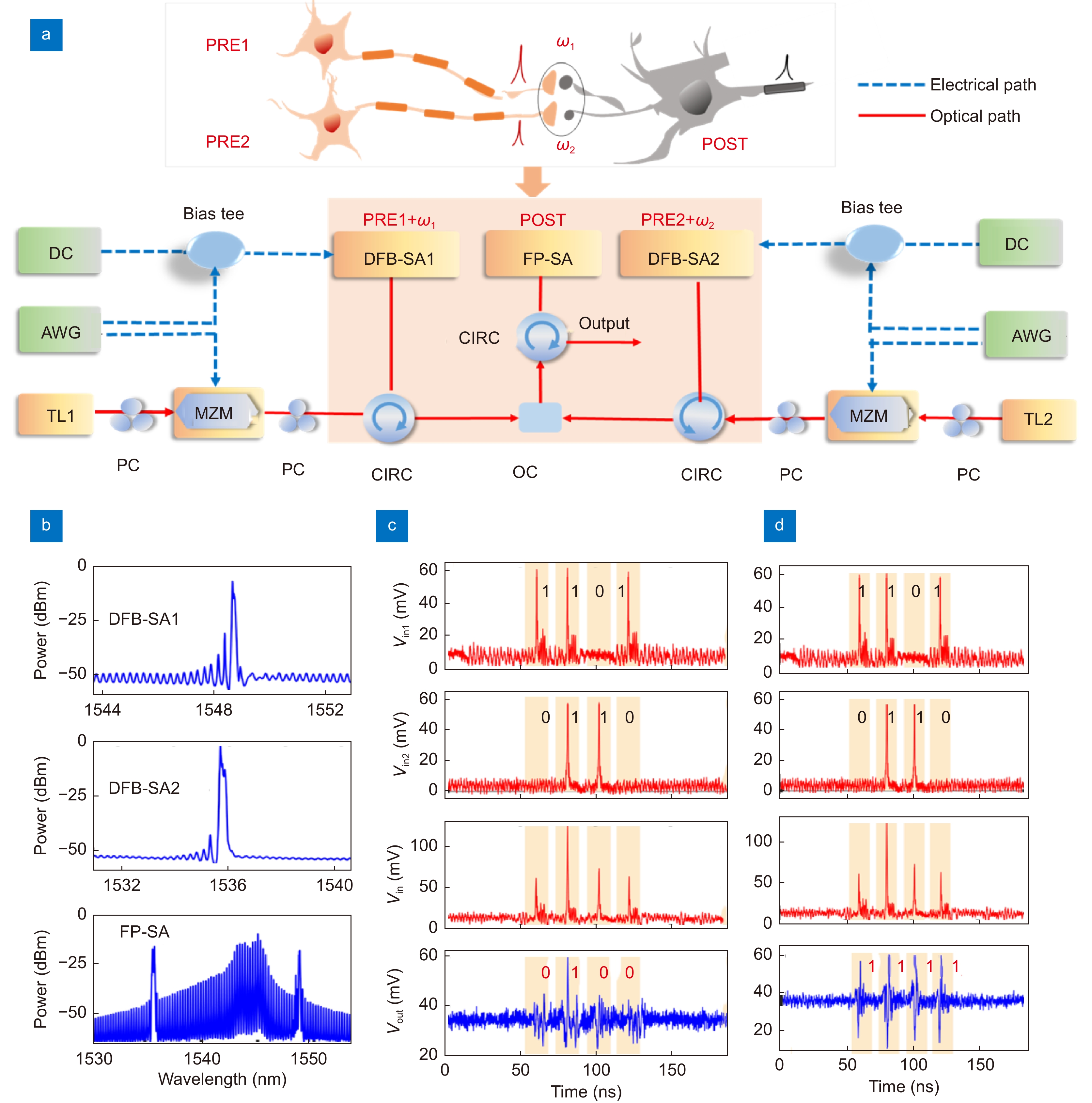 Photonic integrated neuro-synaptic core for convolutional spiking
