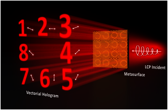 Highly efficient vectorial field manipulation using a transmitted tri-layer metasurface in the terahertz band