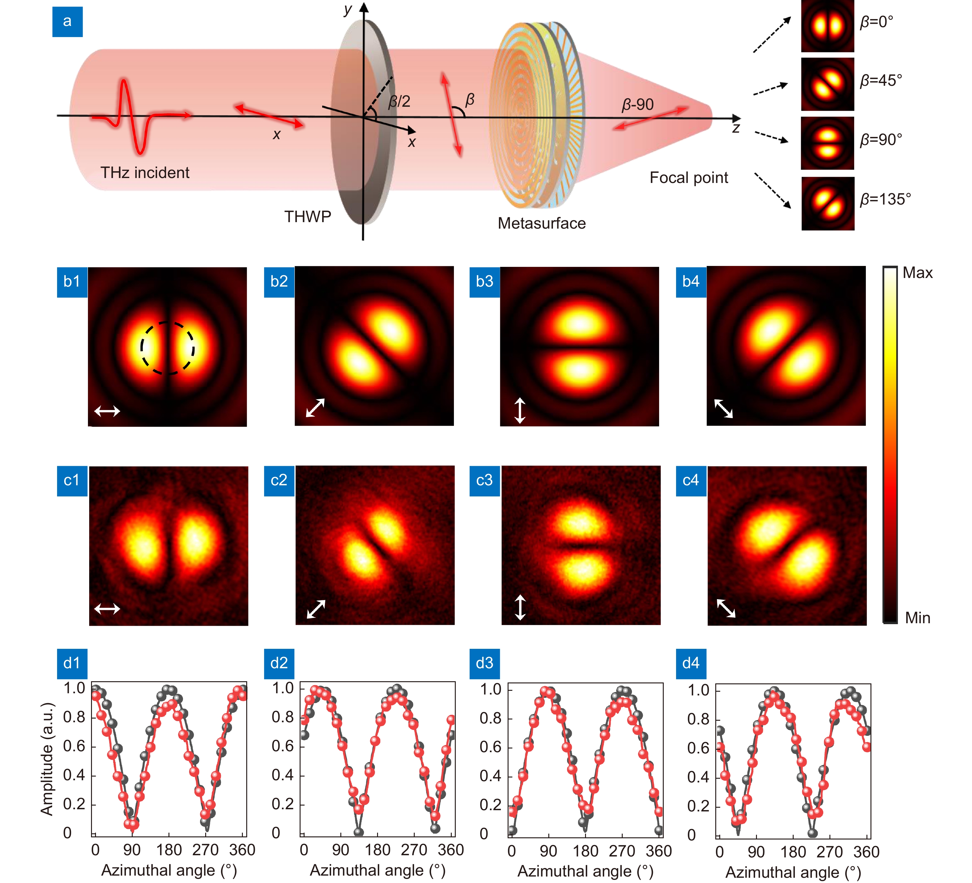 Highly efficient vectorial field manipulation using a