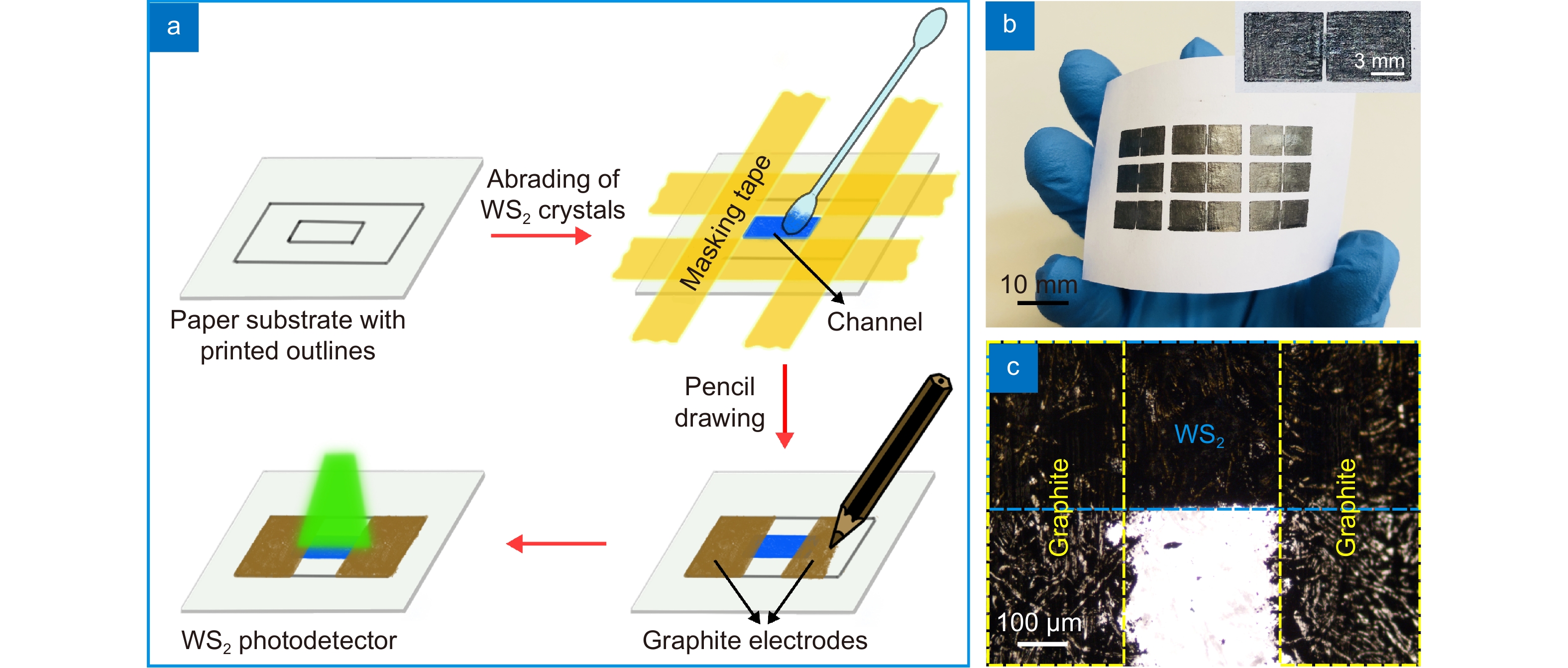 Solvent-free fabrication of broadband WS2 photodetectors on paper