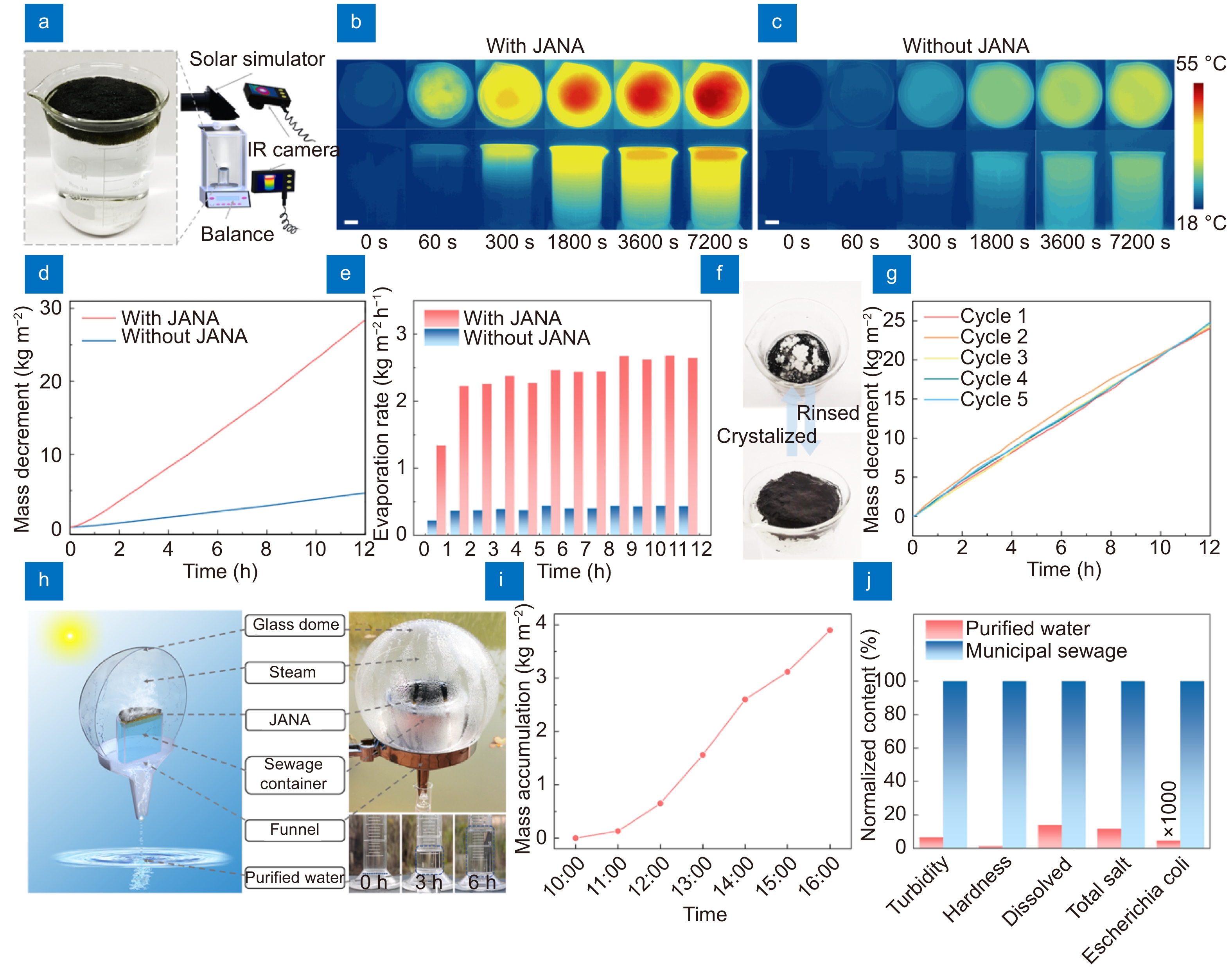 レコード　たくさん Bob And The Mob Feat. D.J. Slayer & M.C. Speedo / I'm Wild