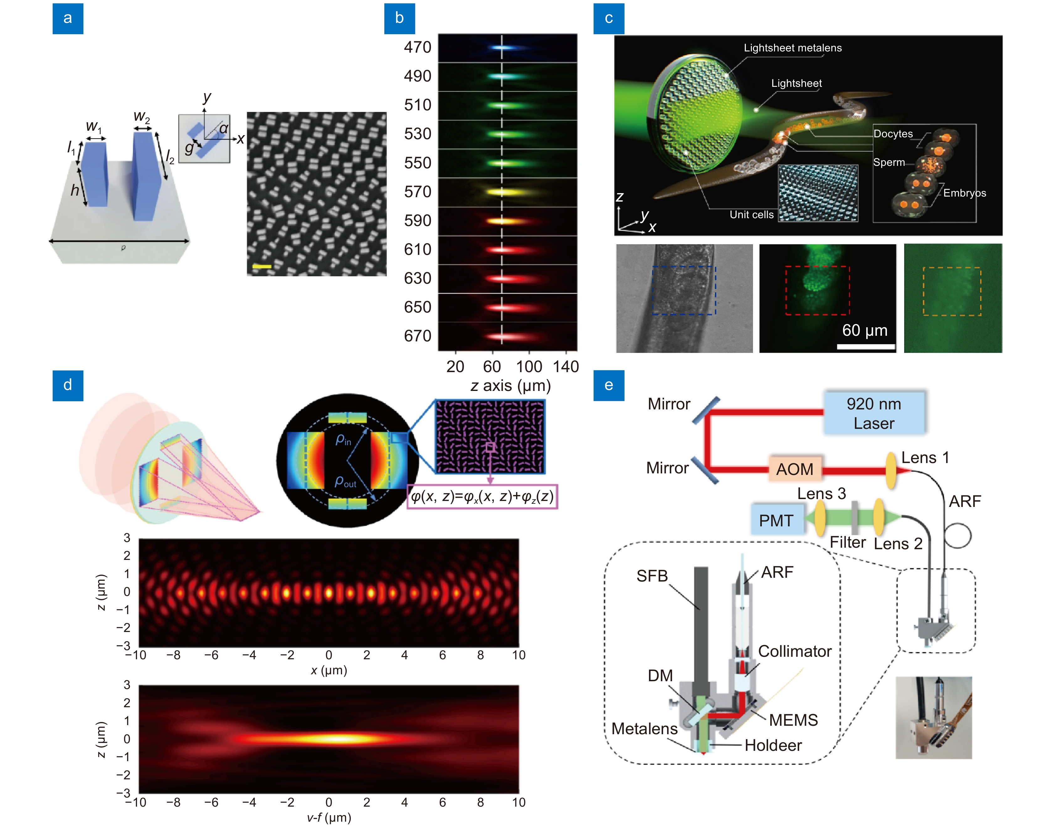 ＳＨ AＲP Suspended Black Arsenic Nanoribbons with Anisotropic Elastic