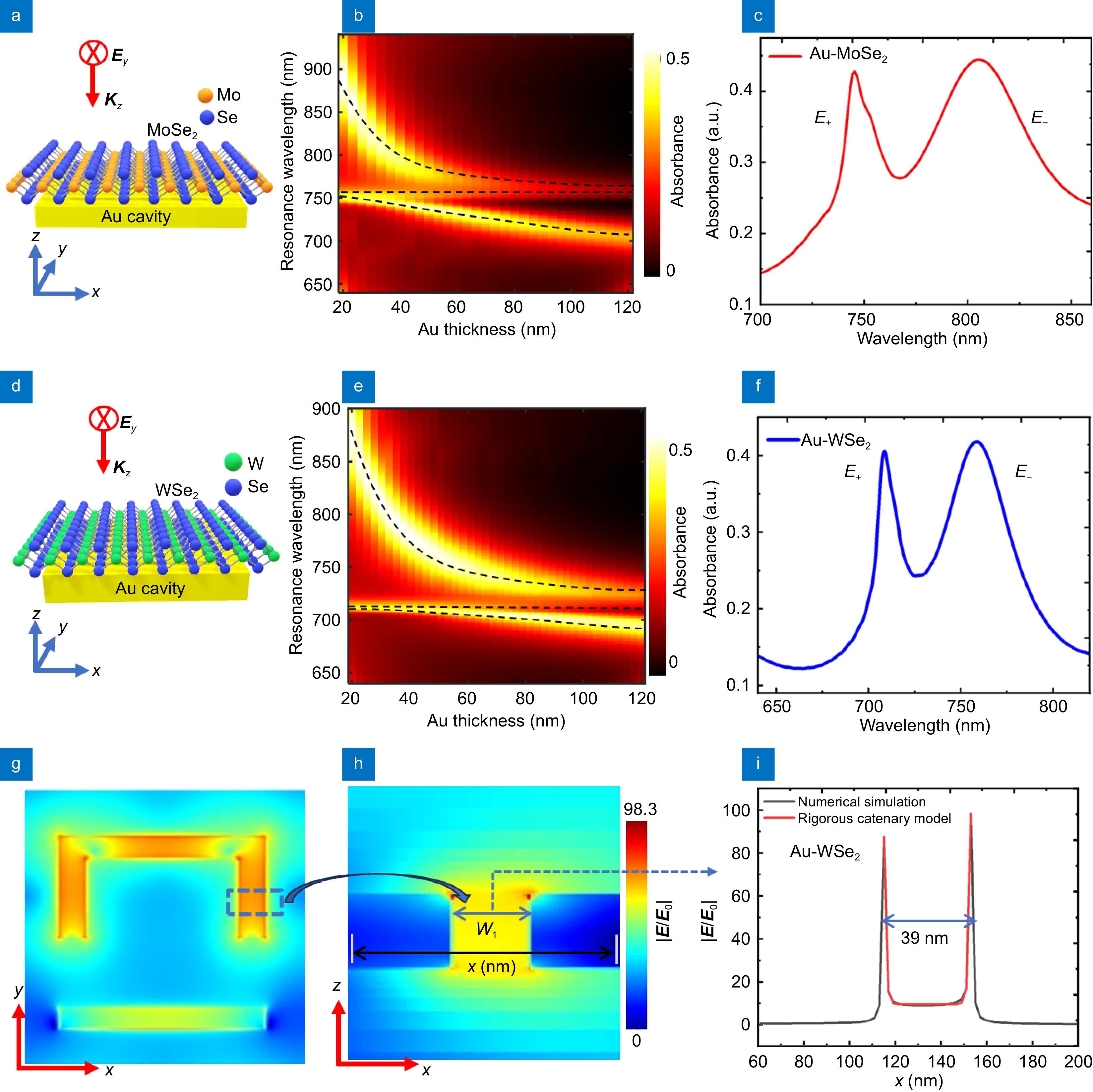 Strong coupling and catenary field enhancement in the hybrid