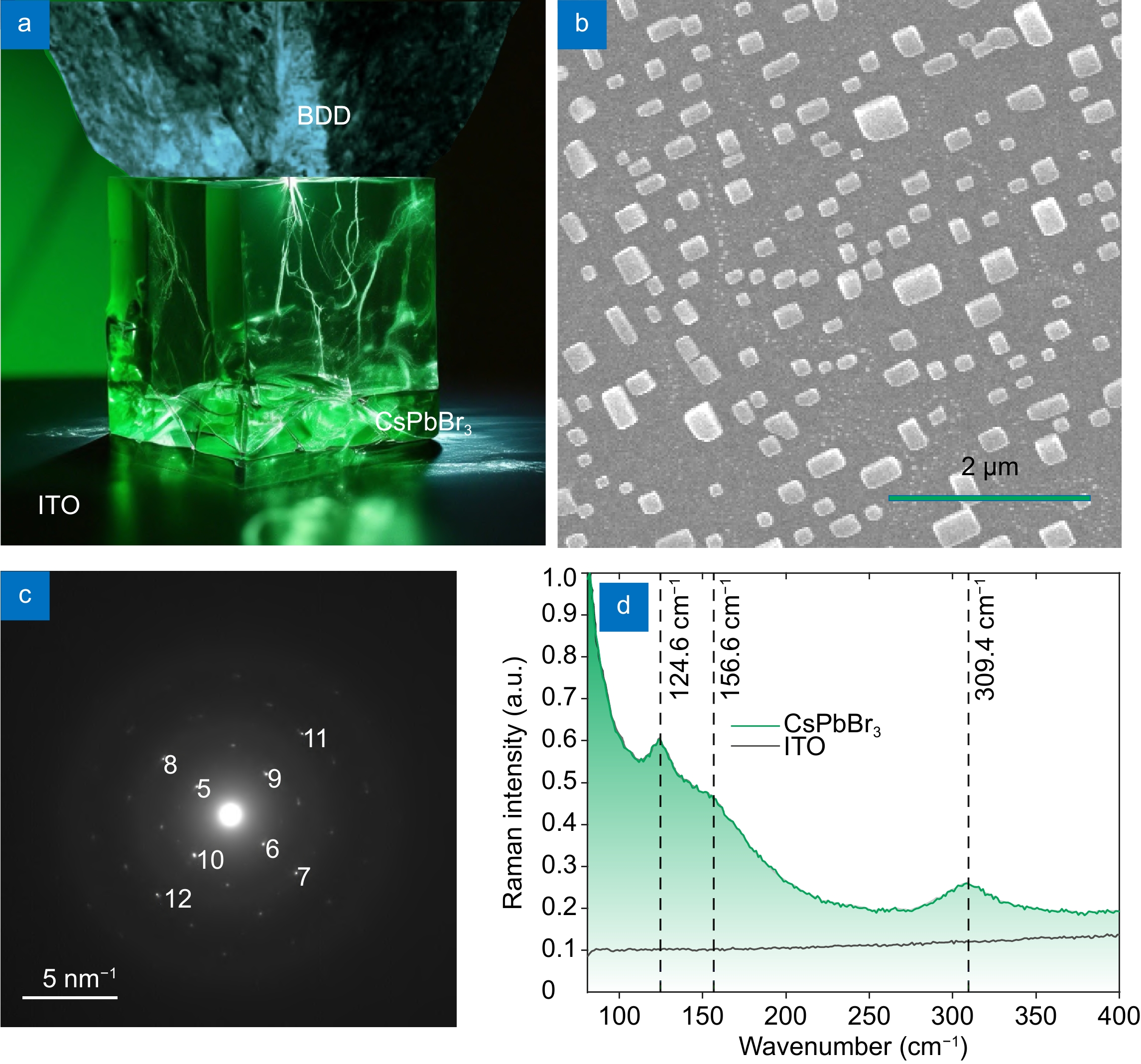 Halide perovskite volatile unipolar nanomemristor
