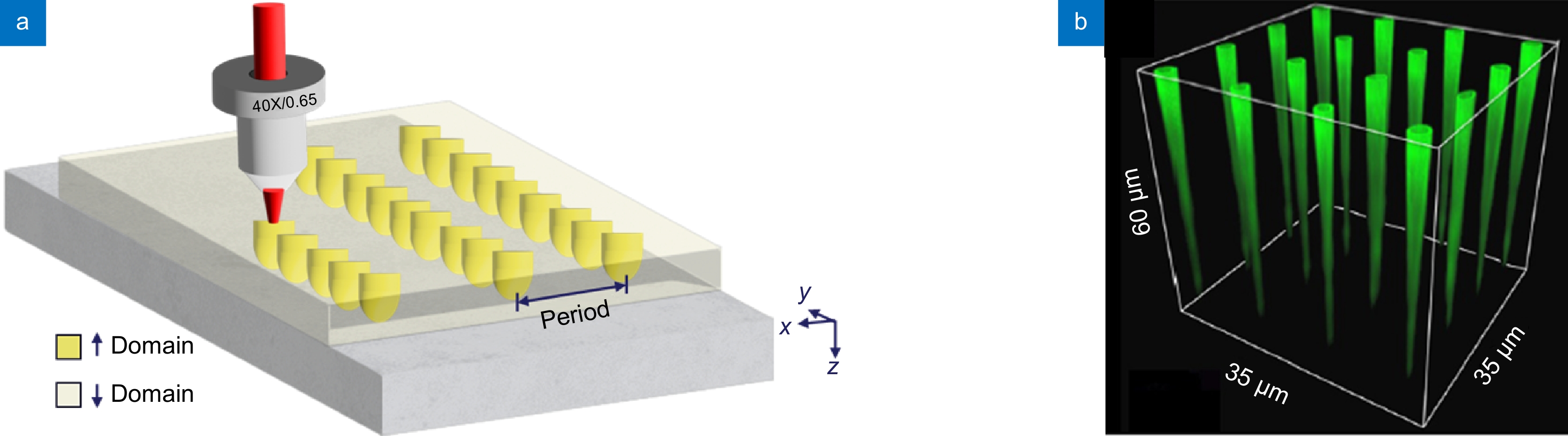 Ferroelectric domain engineering of Lithium niobate