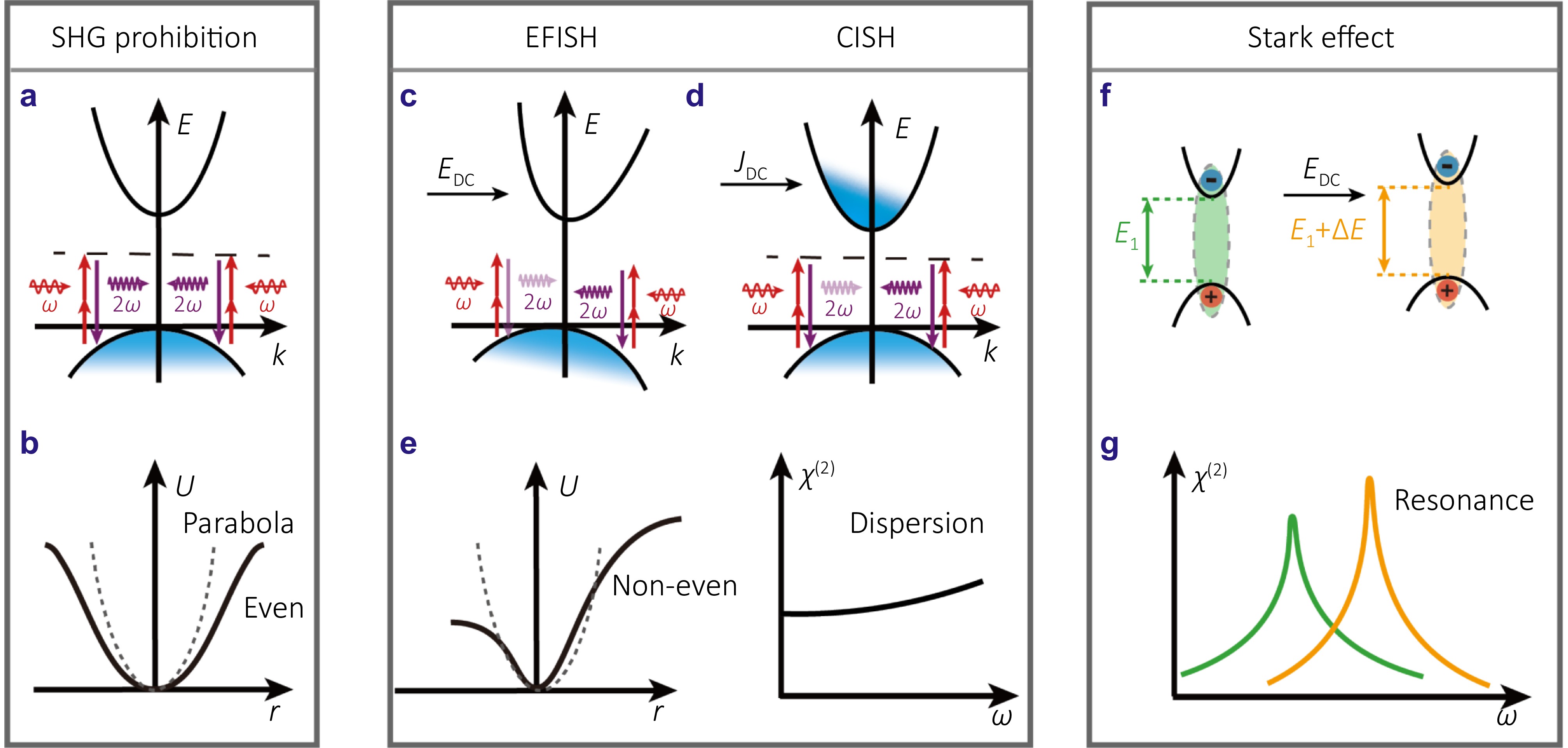 Electric-field-induced second-harmonic generation