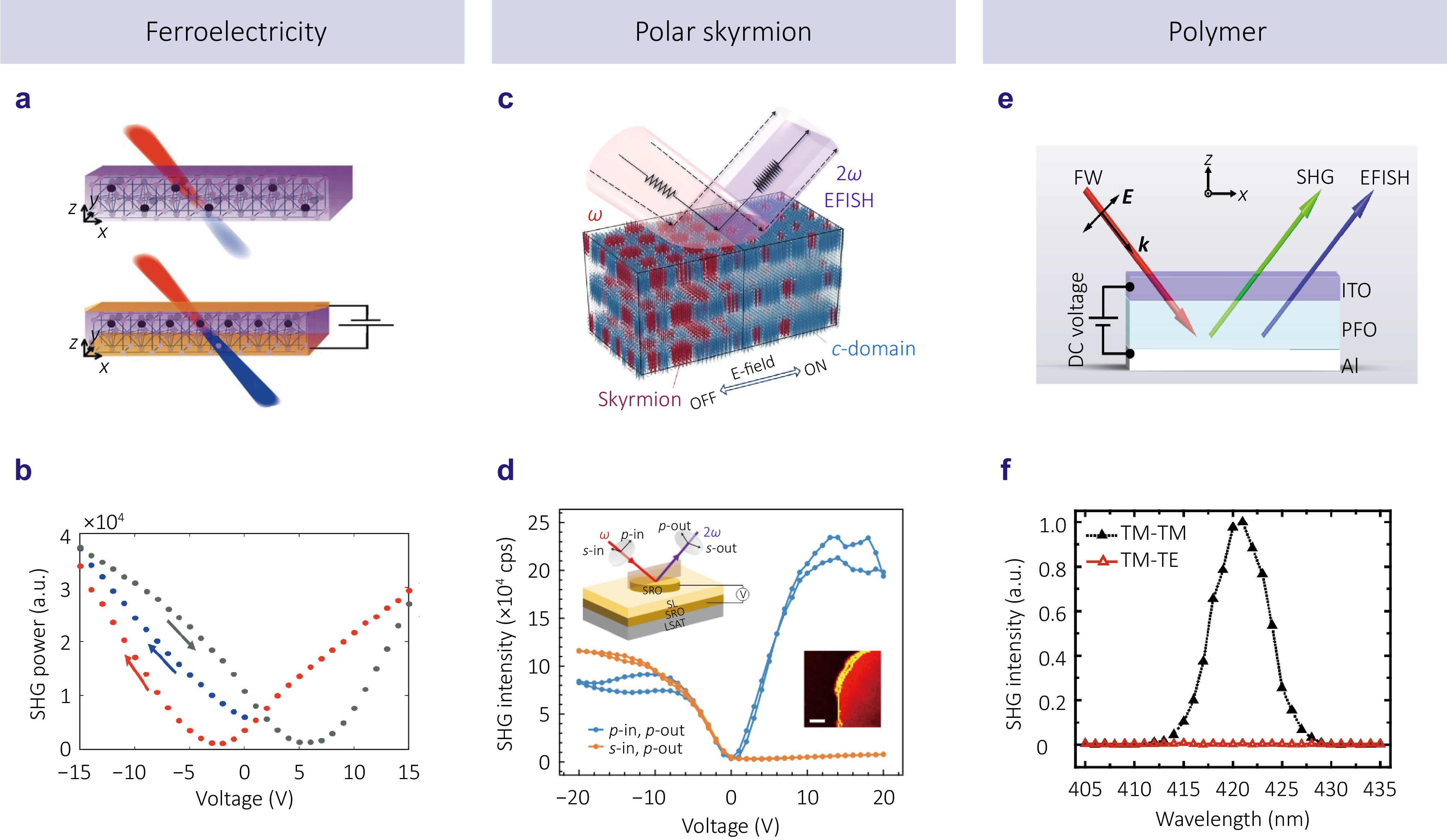 Electric-field-induced second-harmonic generation