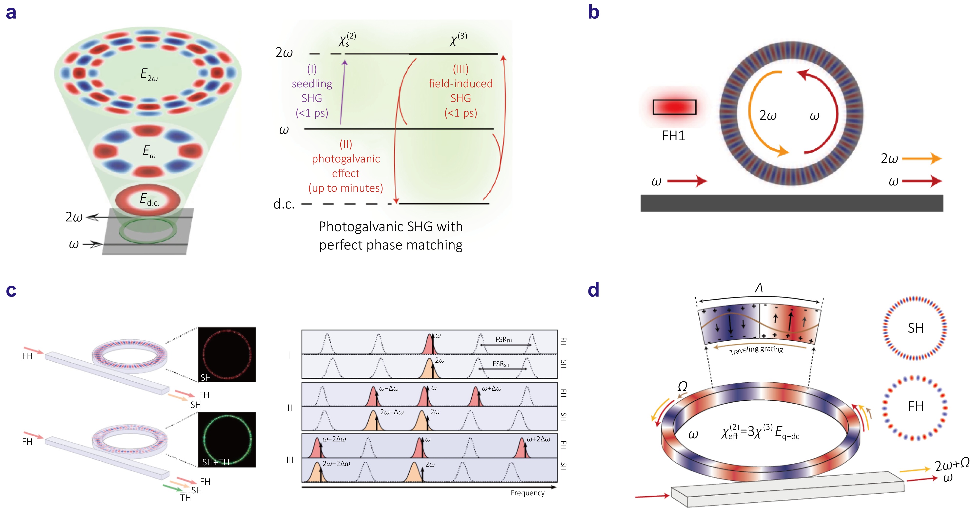 Electric-field-induced second-harmonic generation