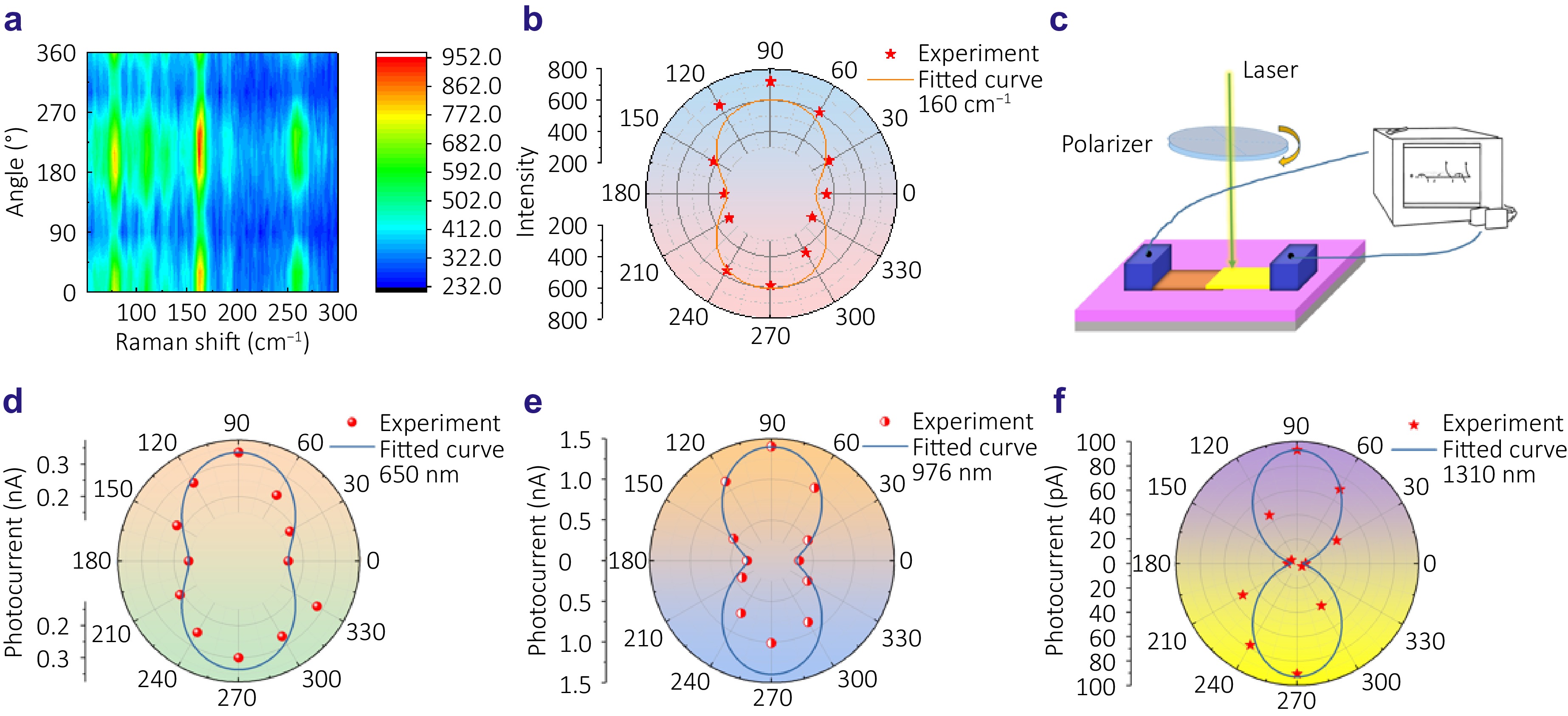 Ultra-sensitive multi-band infrared polarization photodetector