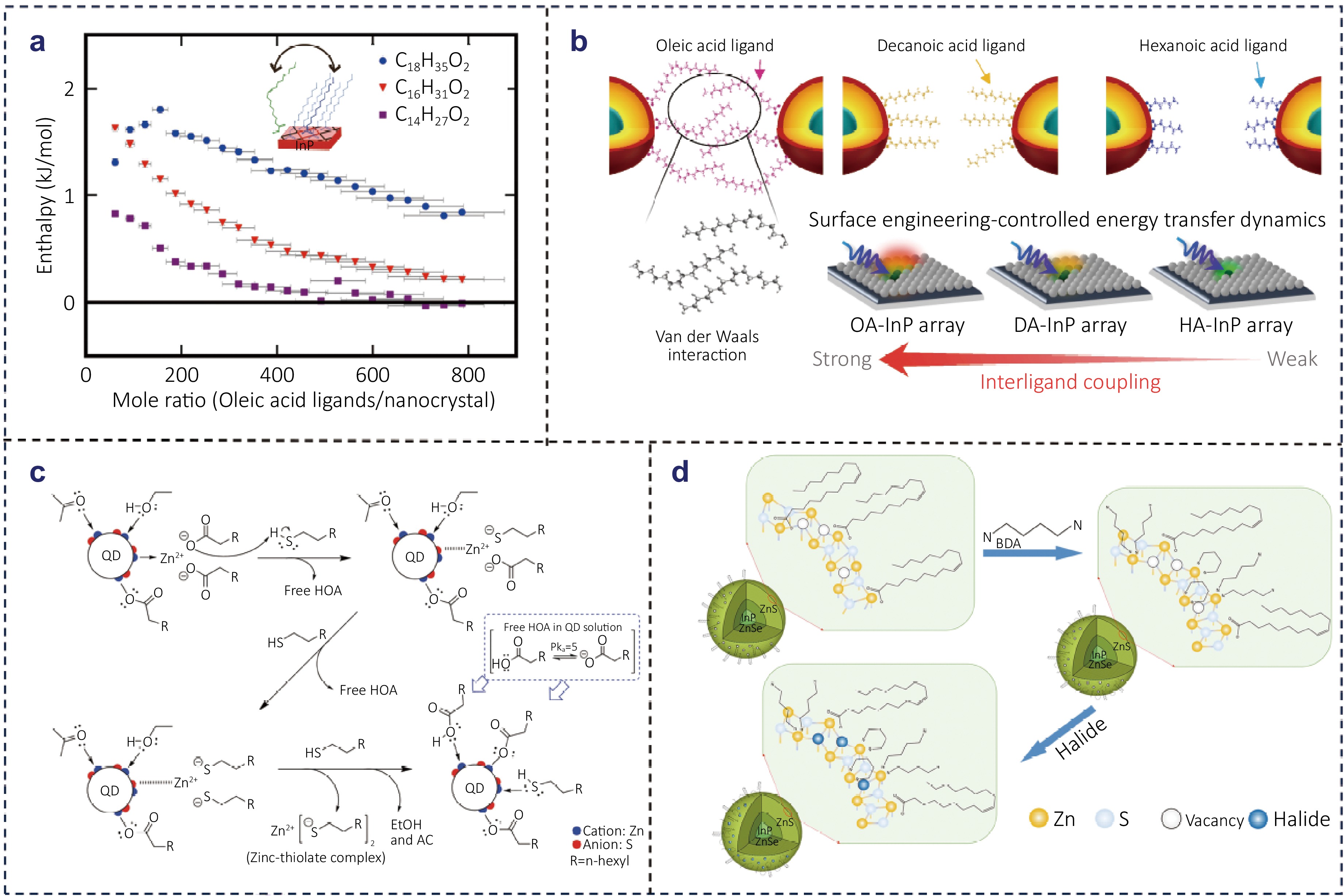 Overcoming challenges in InP-based quantum dots: from nucleation